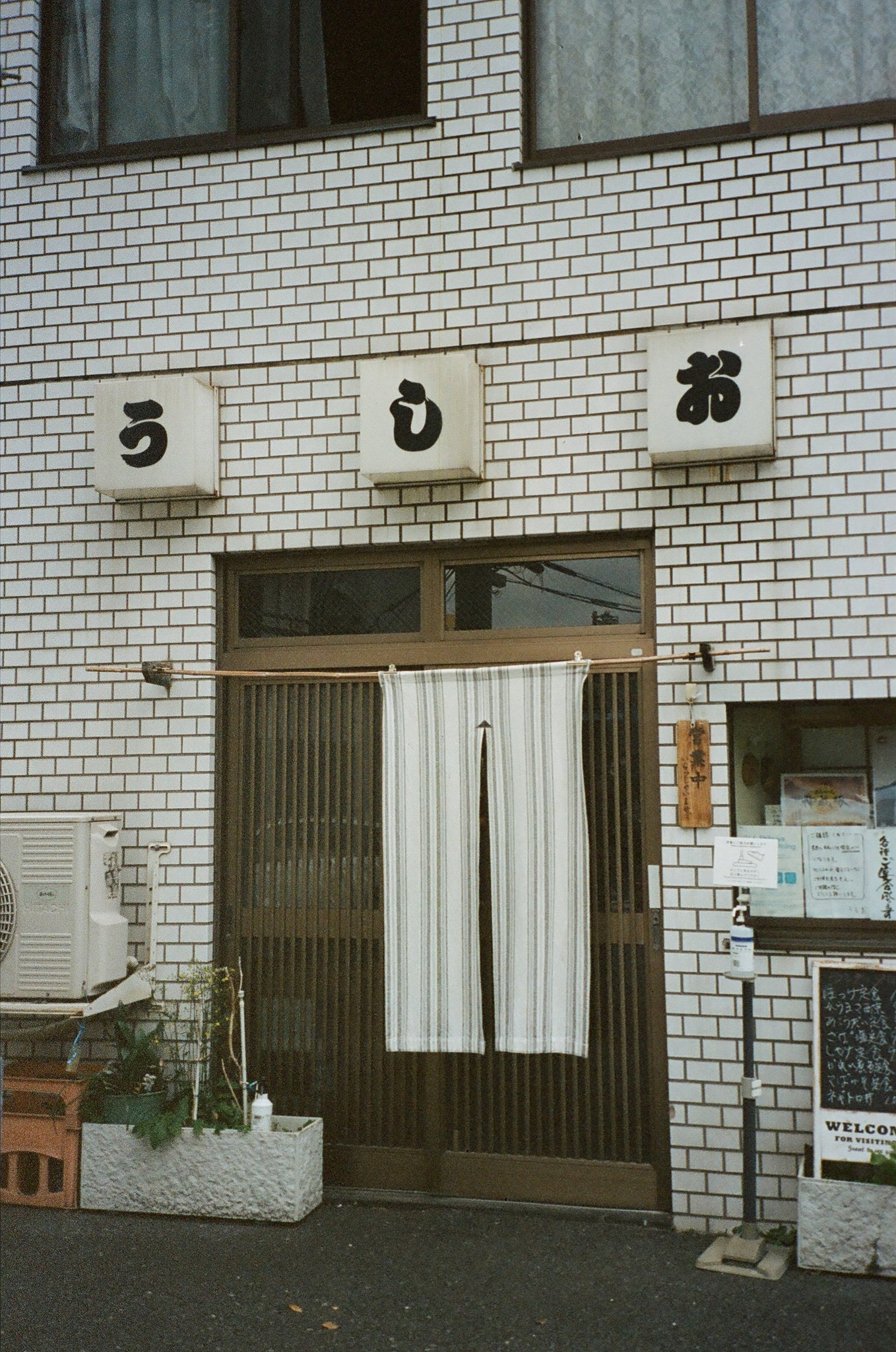 Tokyo Tradition - by Sveva Kapner
