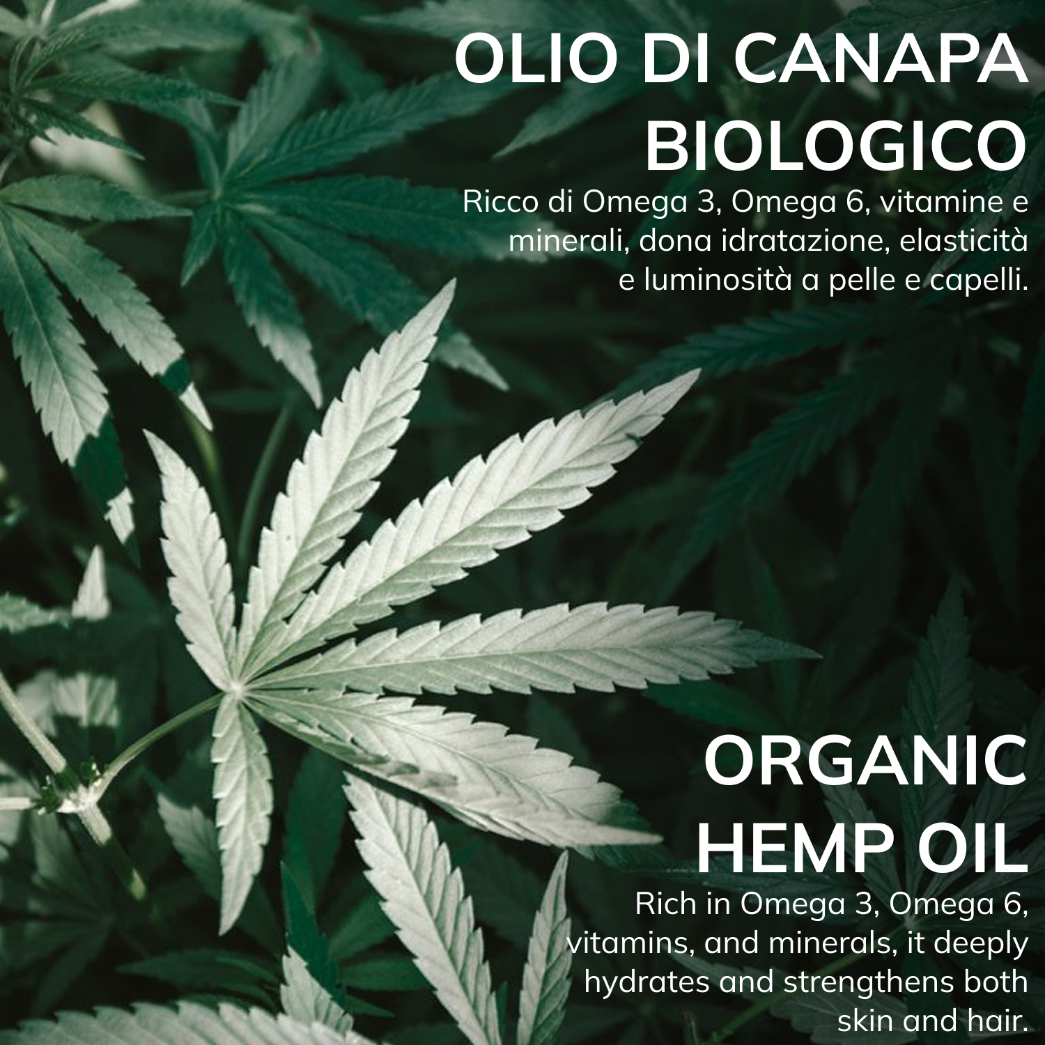 HEMP CARE Shampoo 300 Ml