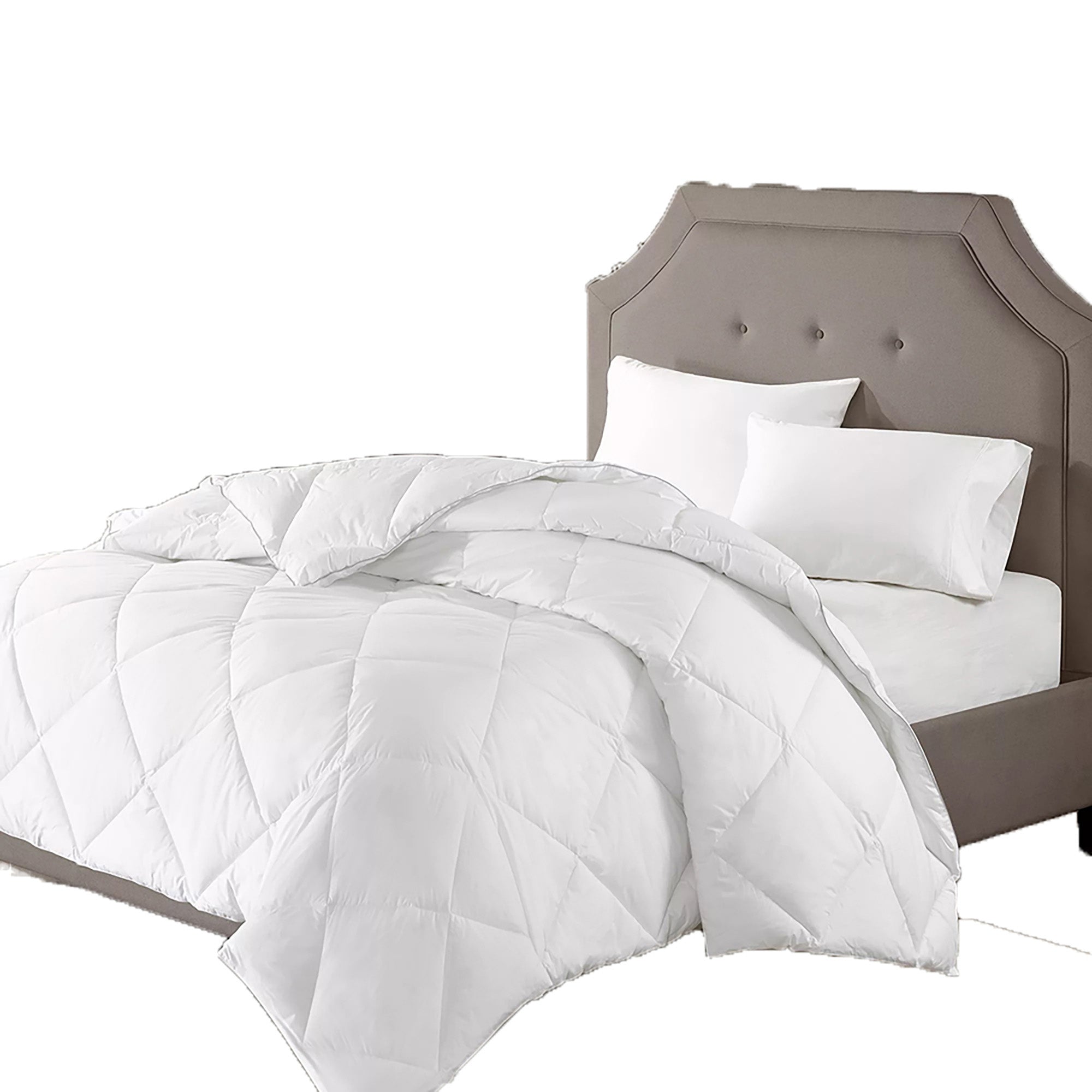 Interno Micro Campiglio 300Gsm