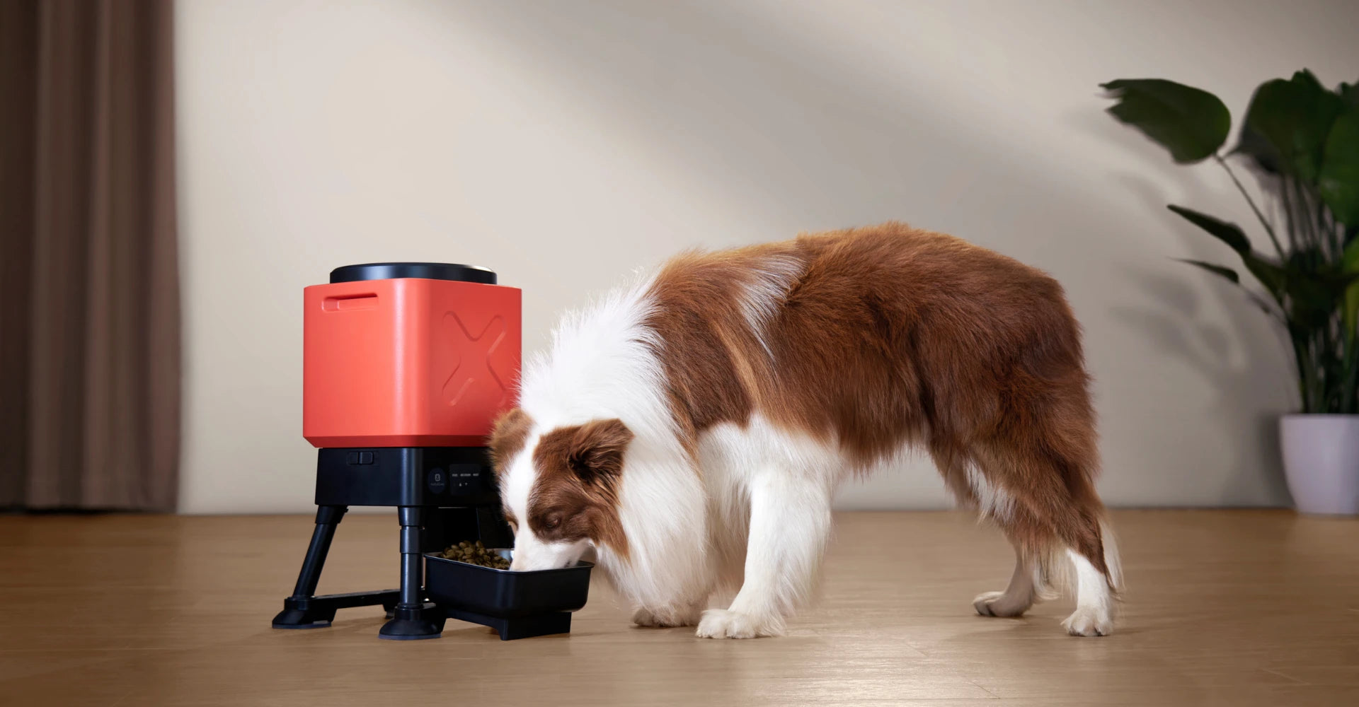 Smart Feeder Titan Wifi 14L