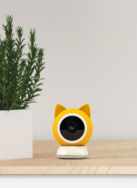 Smart Pet Cam