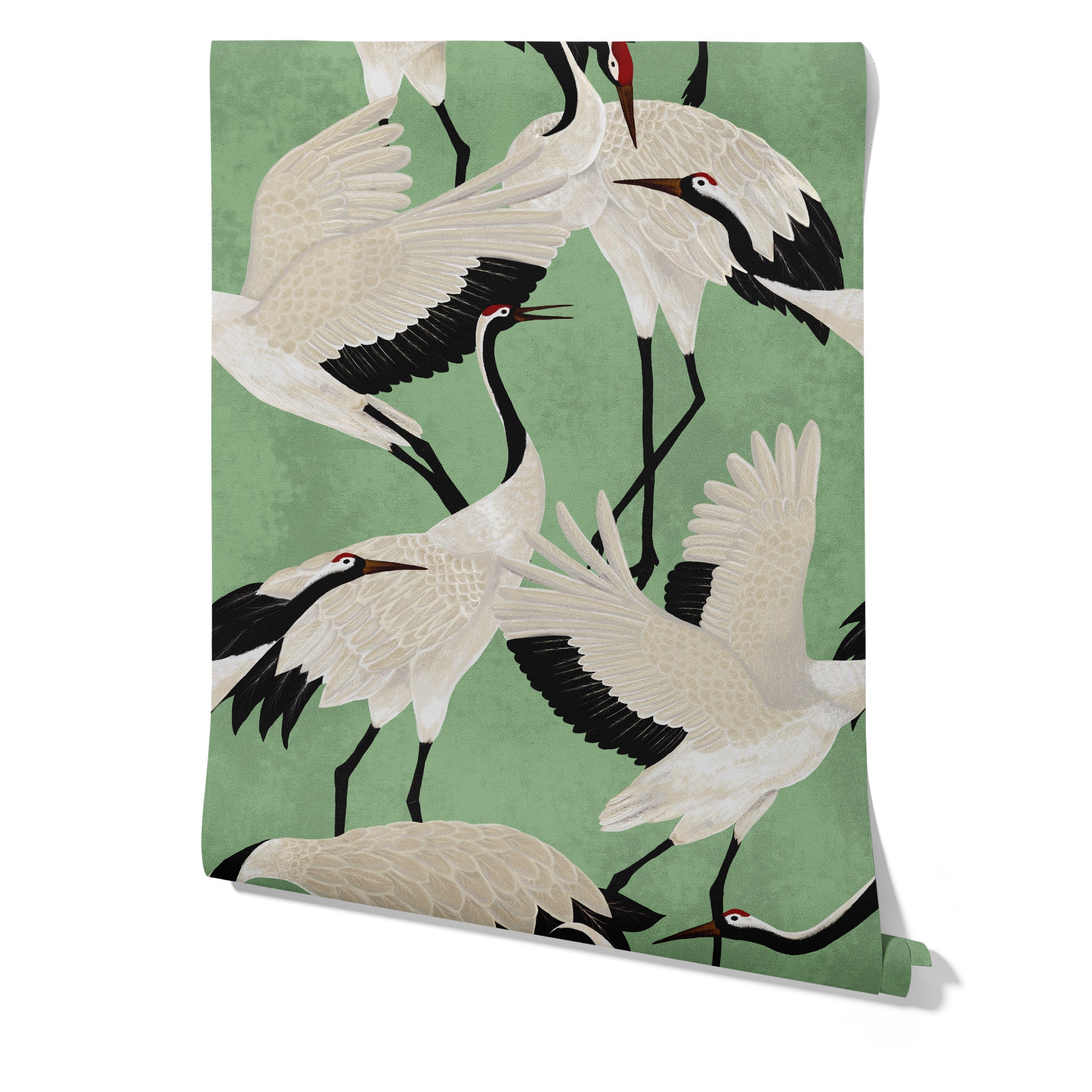 Carta da Parati Aironi Verdi - 8 fogli - 5,60 mq