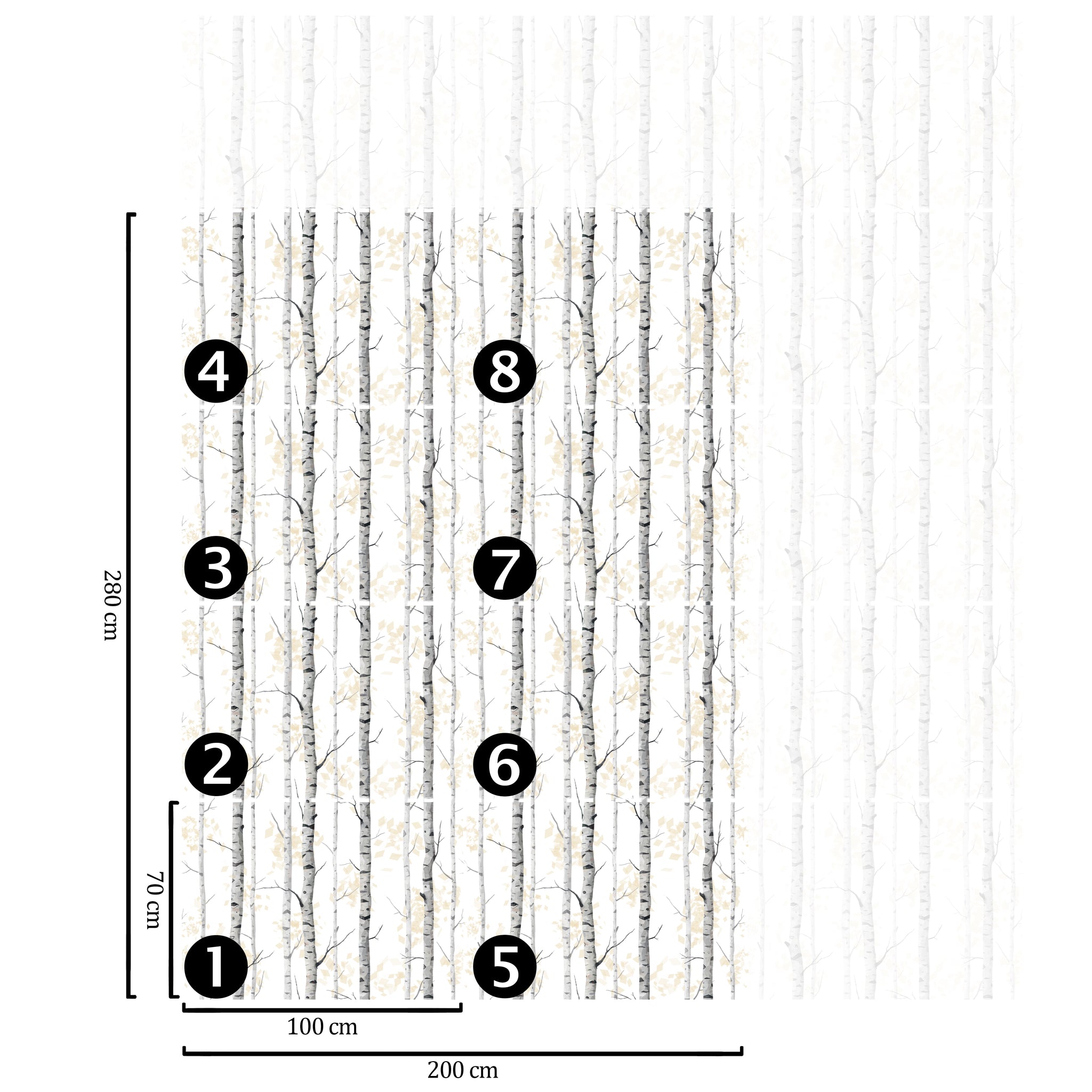 Carta da Parati Bosco di Betulle Bianca e Nera - 8 fogli - 5,60 mq