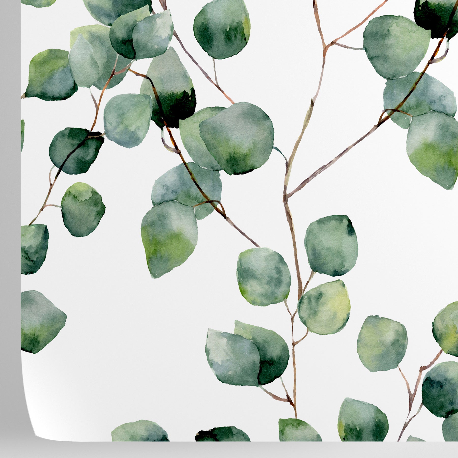 Carta da Parati Eucalipto - 8 fogli - 5,60 mq