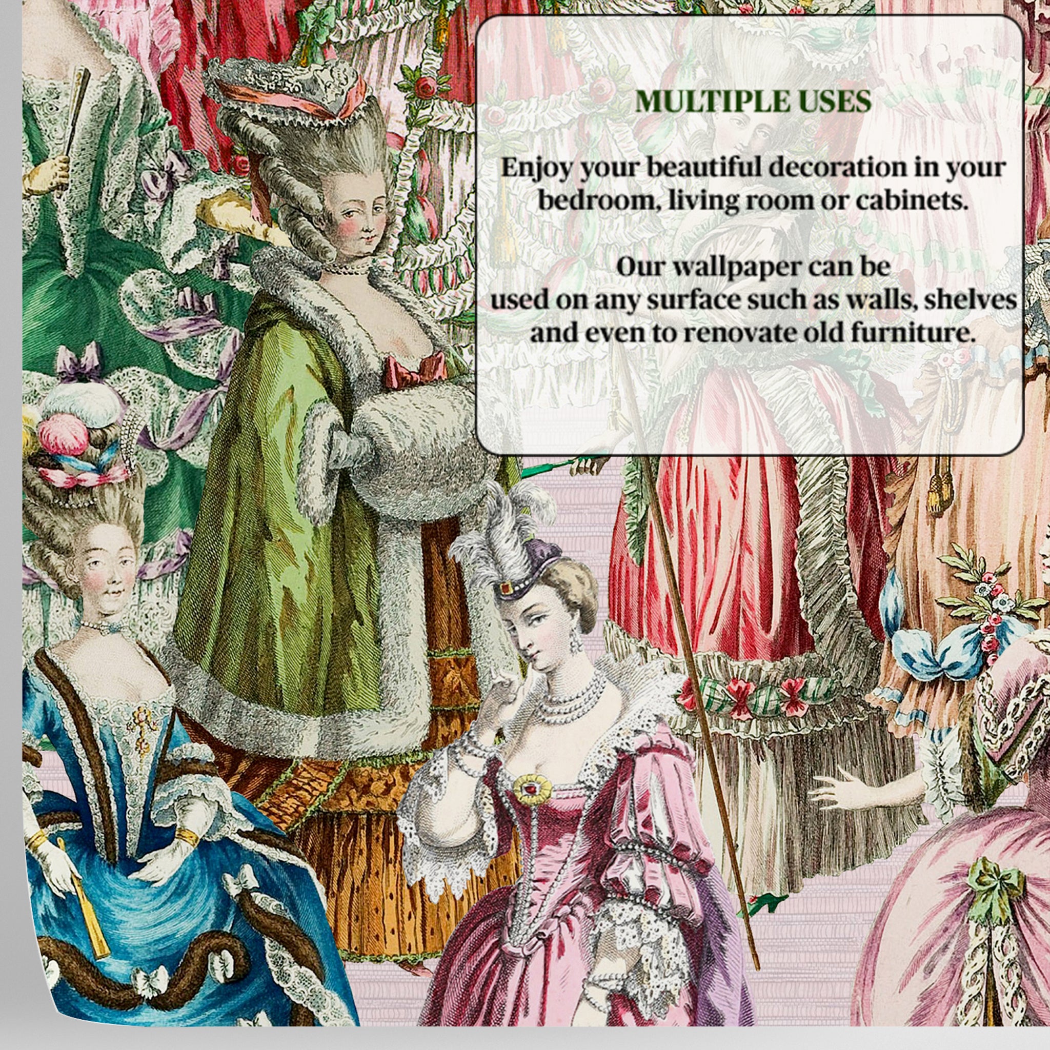 Carta da Parati Francese Marie Antoniette - 8 fogli - 5,60 mq