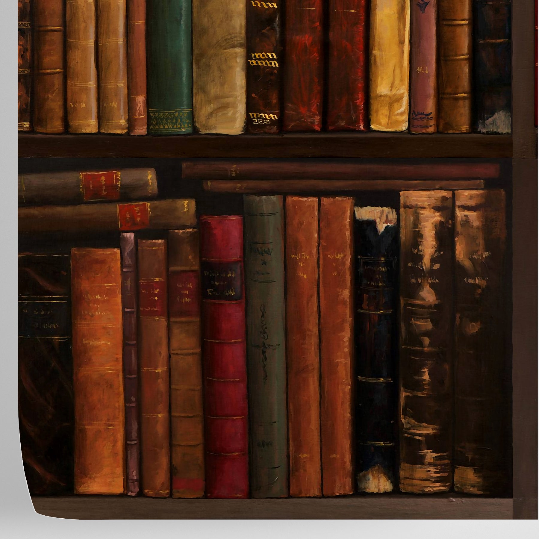 Carta da Parati Biblioteca - 8 fogli - 5,60 mq