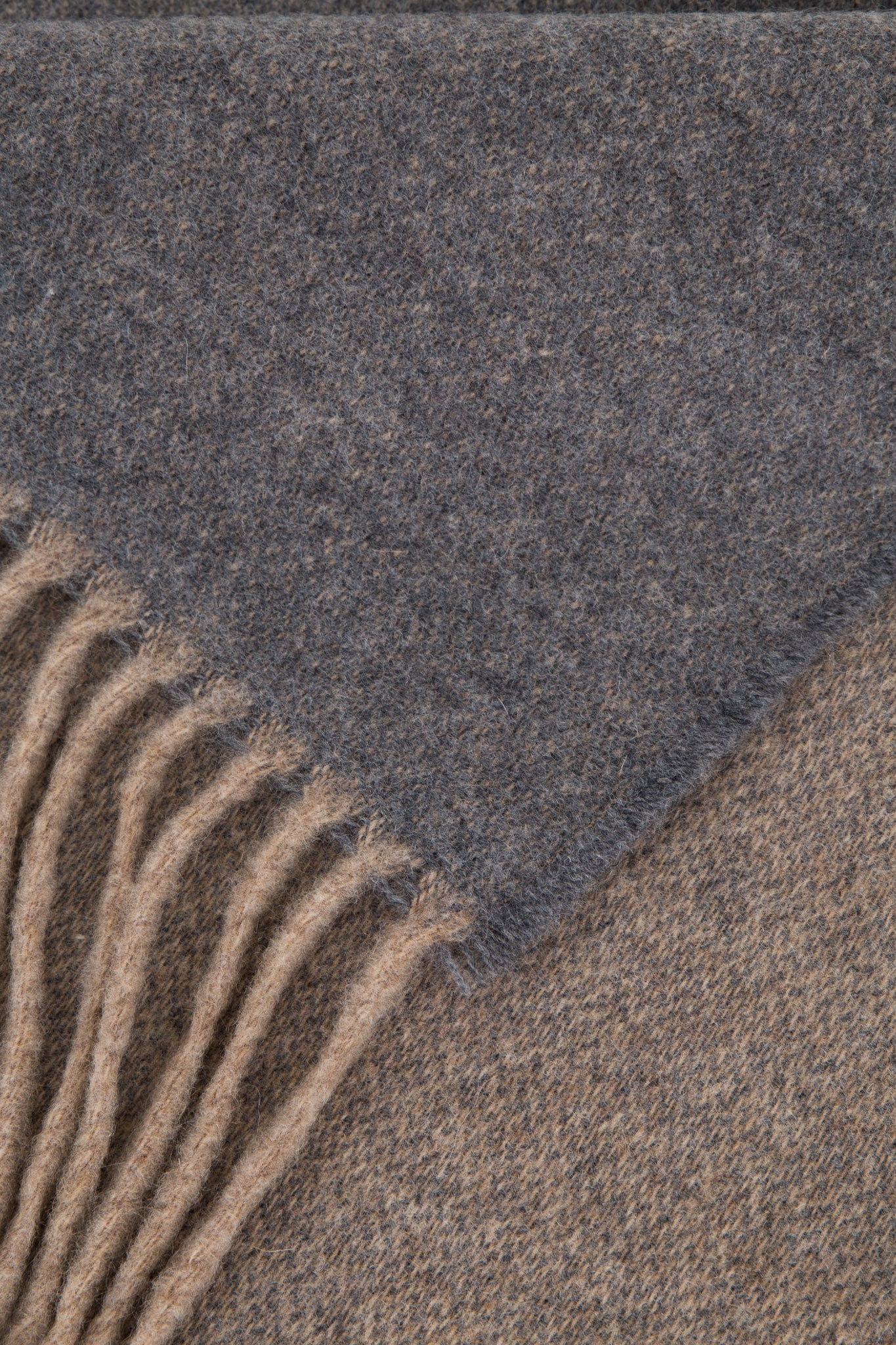 PLAID - Torcello Antracite