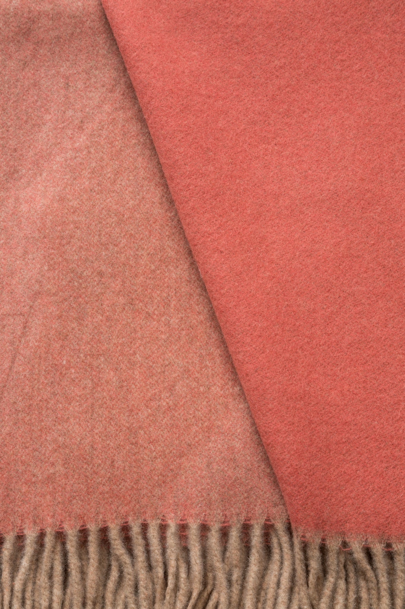 PLAID - Ulisse Rosa