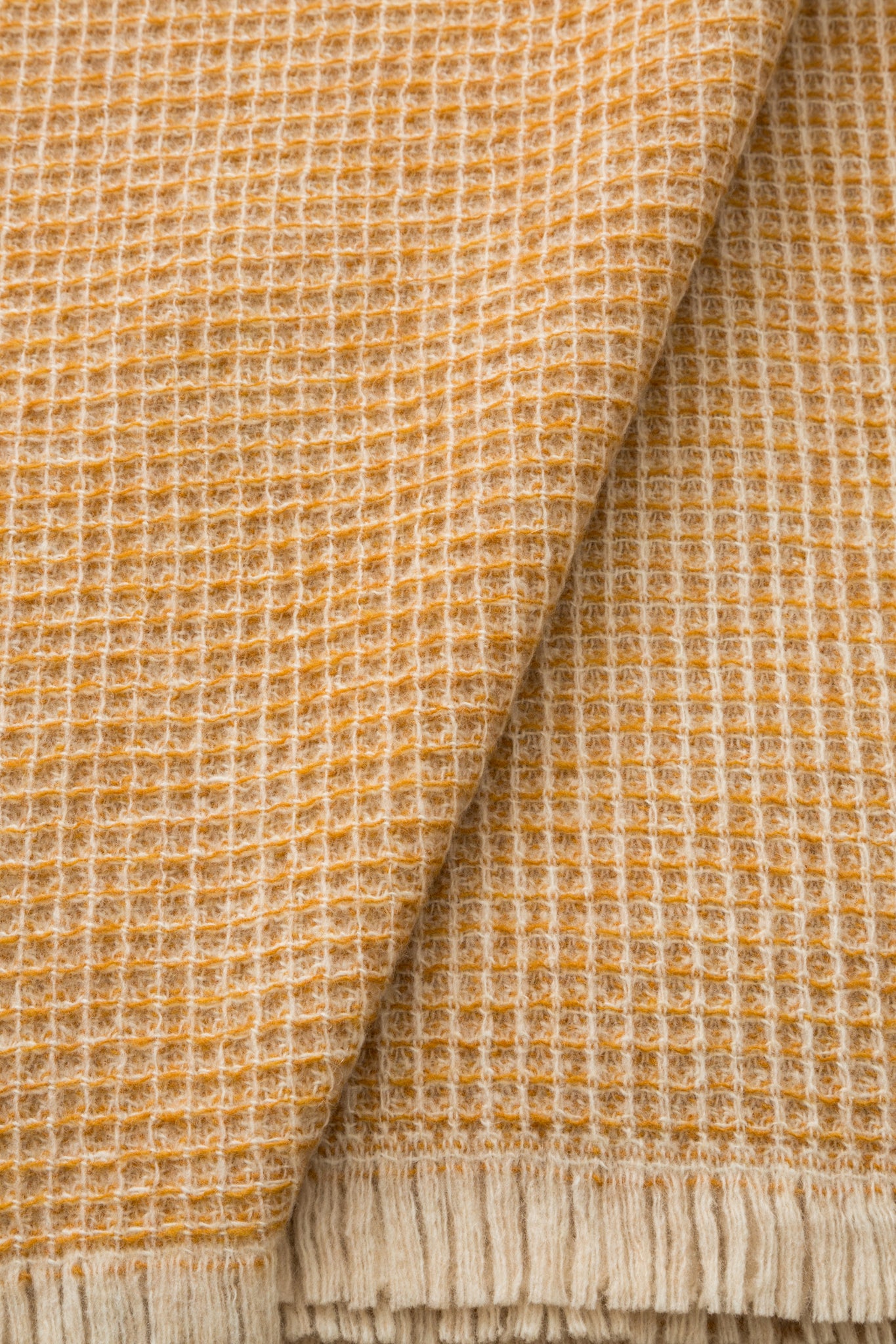 PLAID - Rossi Moon Ocra