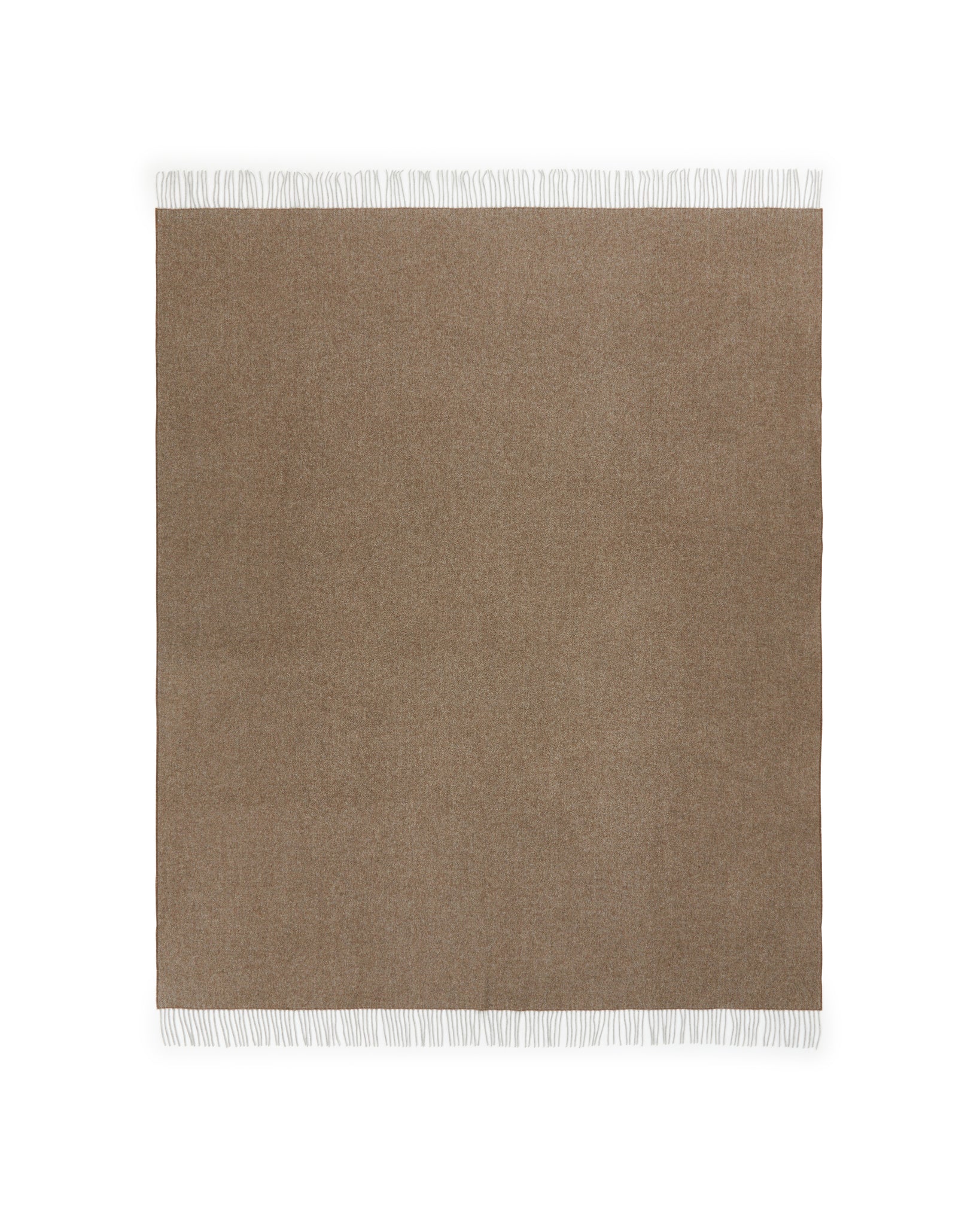 PLAID - Cassiopea Brown