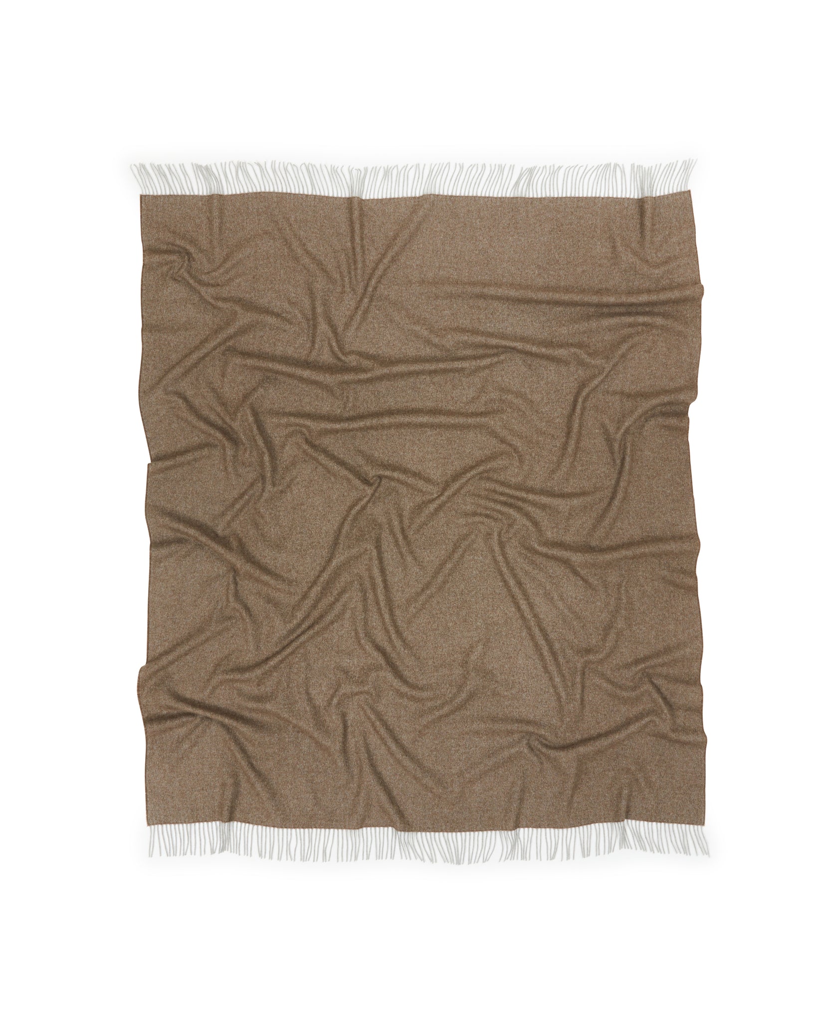PLAID - Cassiopea Brown