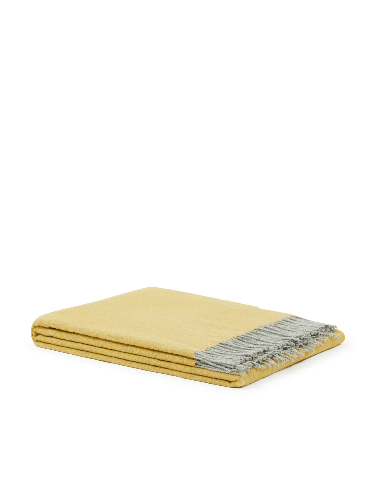 PLAID - Cassiopea Oro