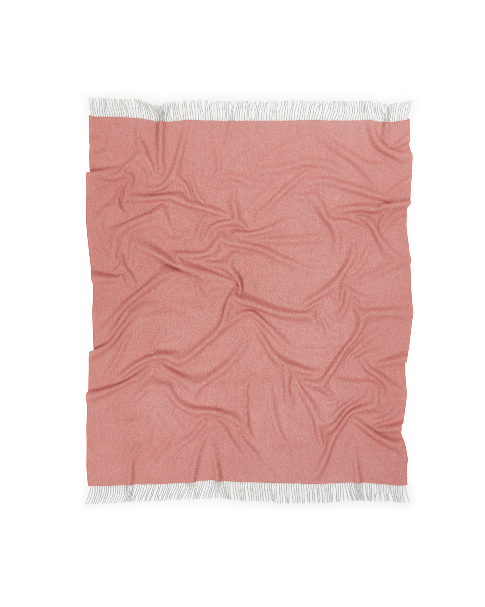 PLAID - Cassiopea Rosa