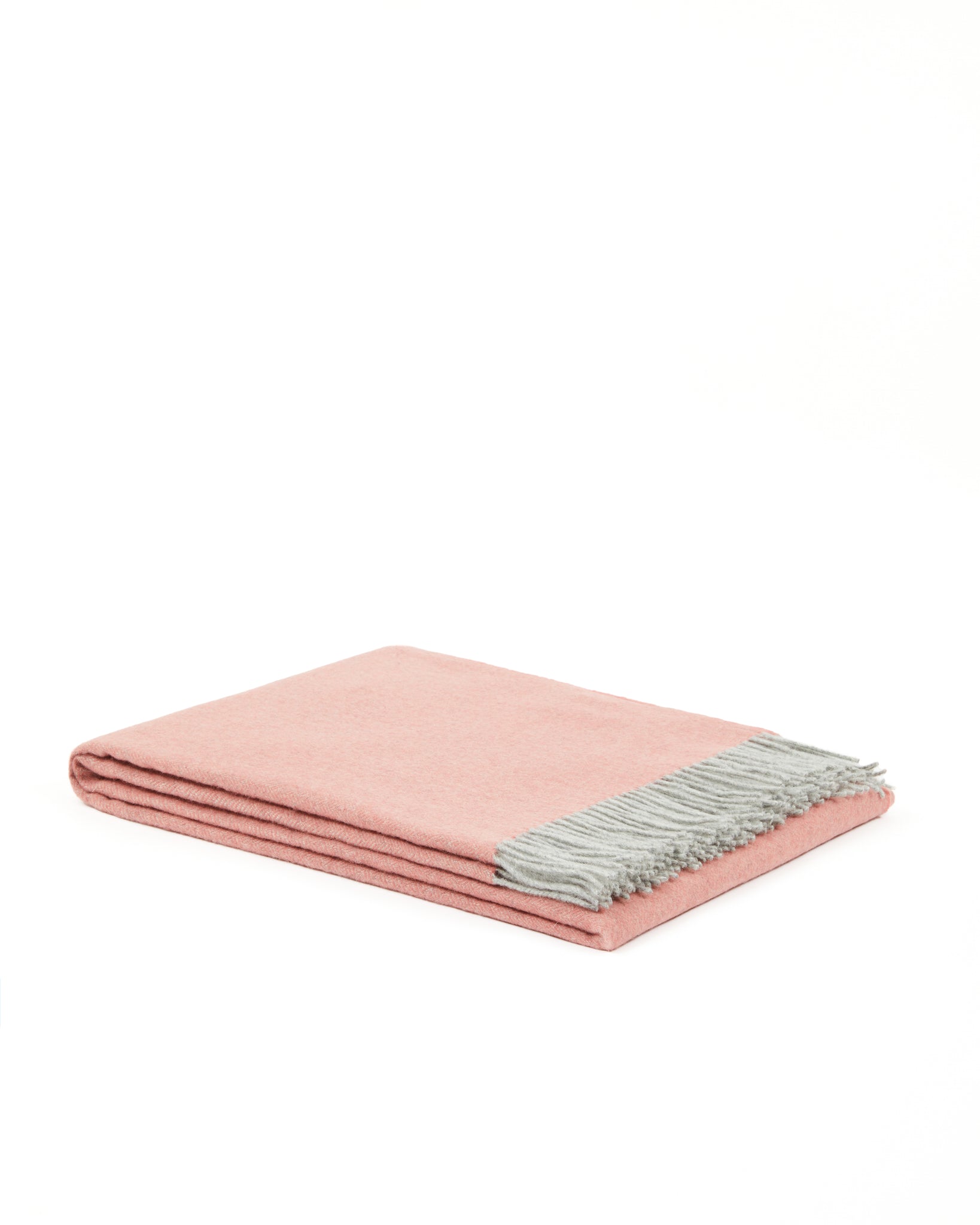 PLAID - Cassiopea Rosa