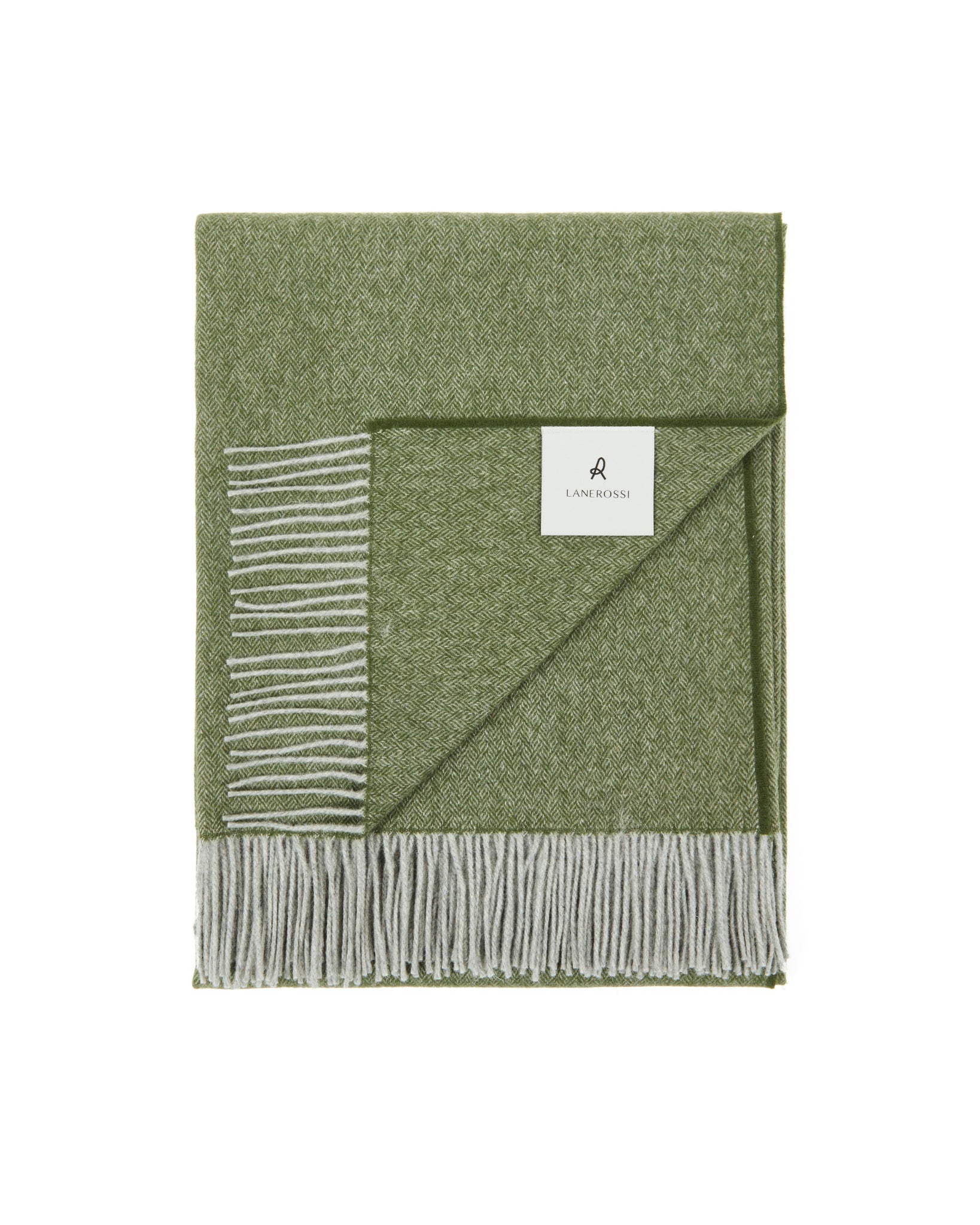 PLAID - Cassiopea Foresta