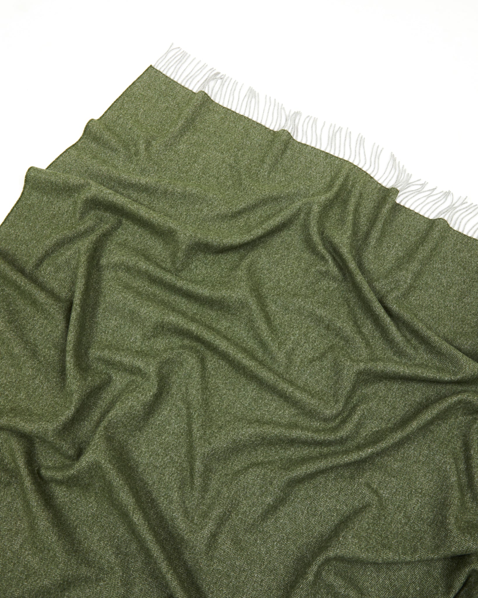 PLAID - Cassiopea Foresta