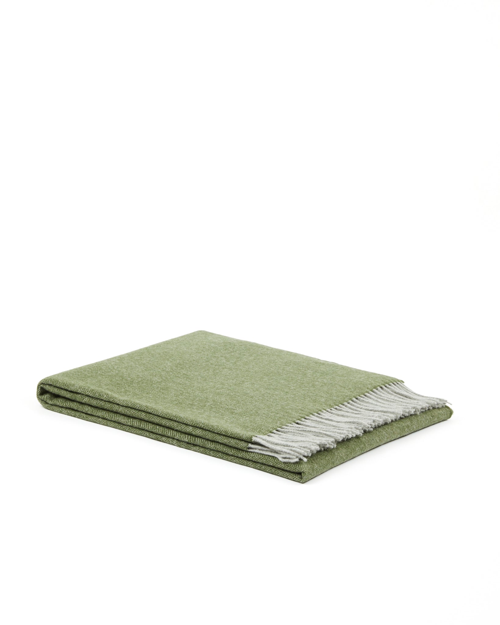 PLAID - Cassiopea Foresta