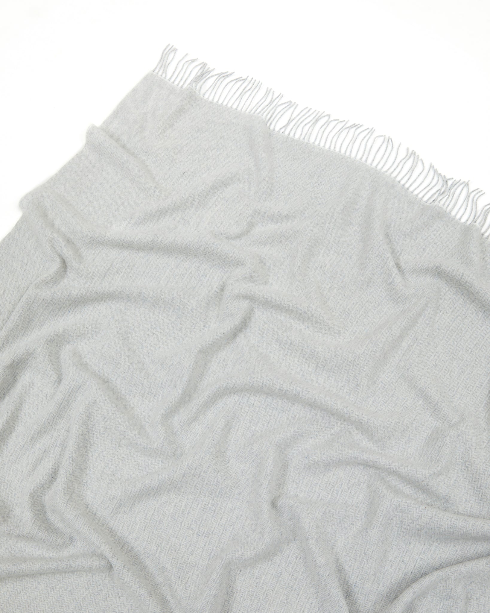 PLAID - Cassiopea Bianco