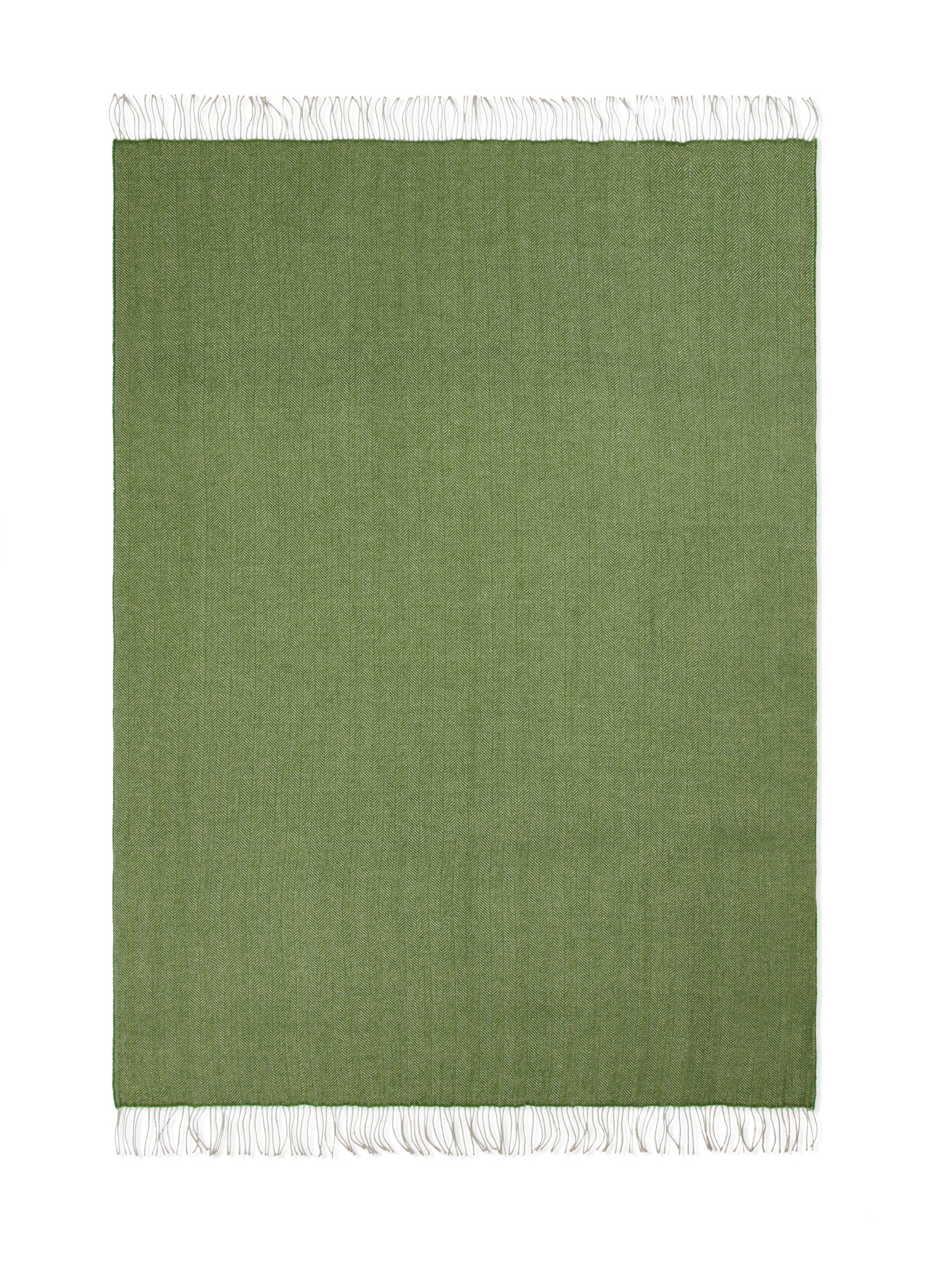 PLAID - Calais Verde