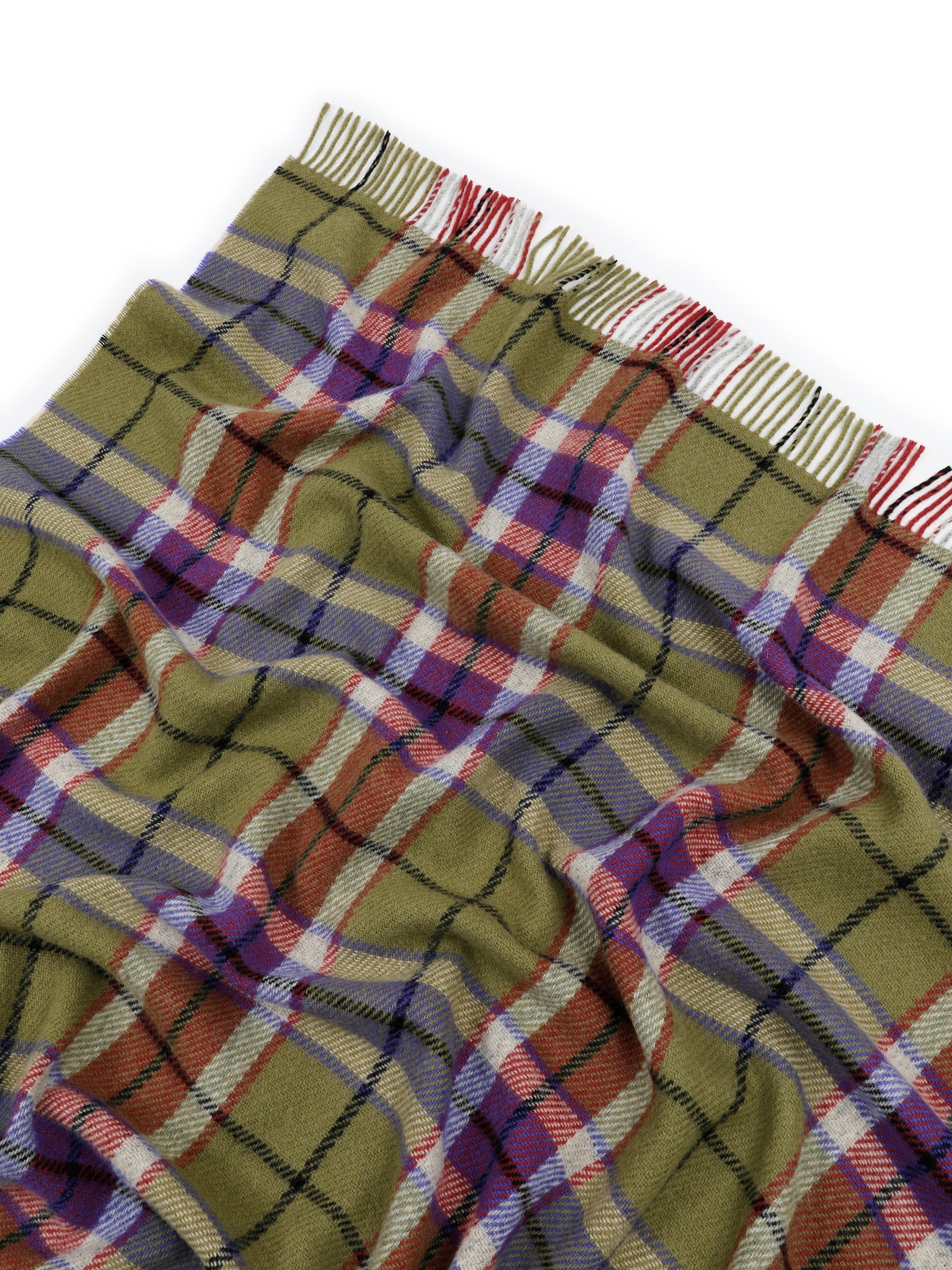 PLAID - Helsinki Viola
