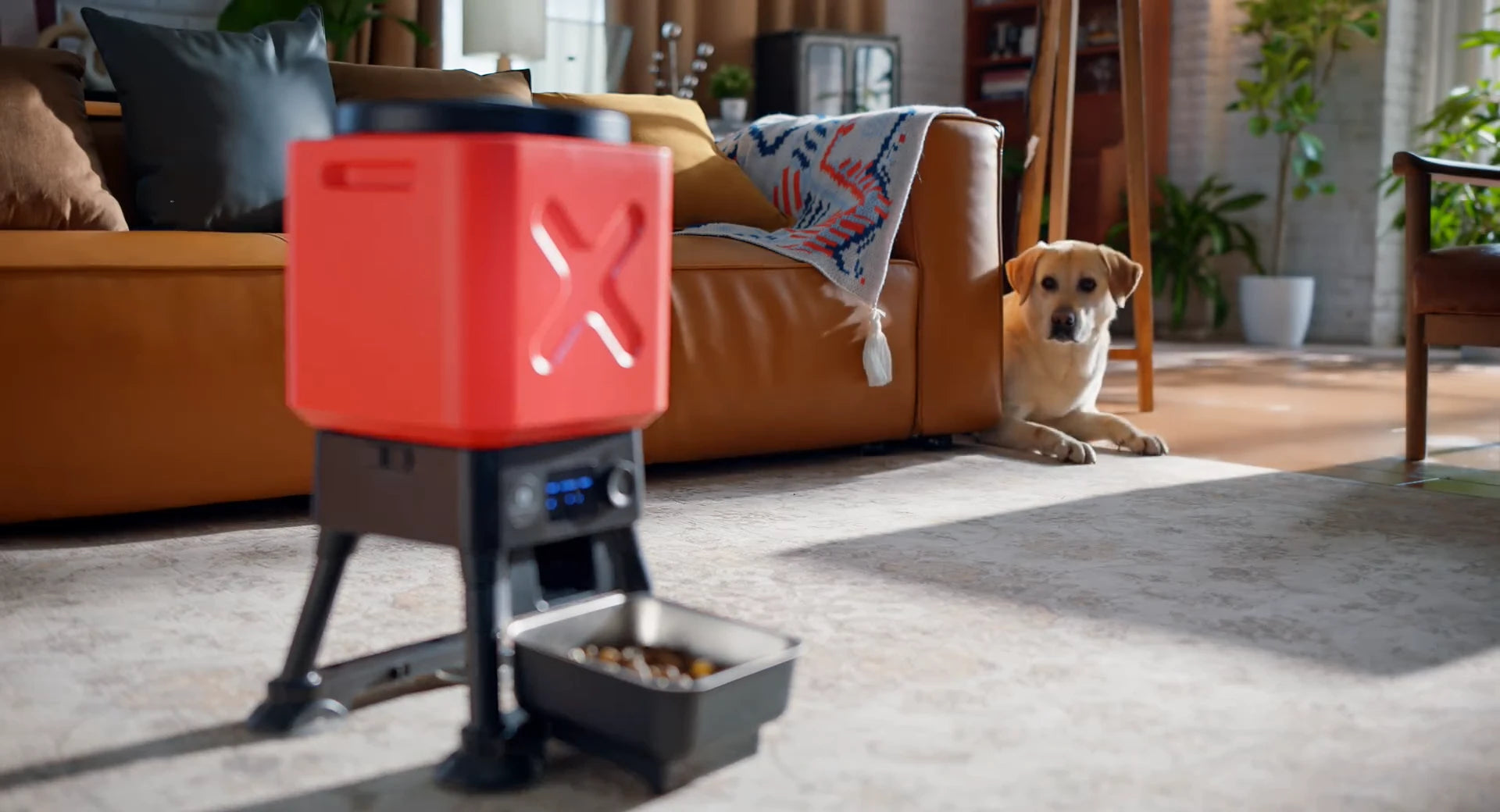 Smart Feeder Titan Wifi 14L