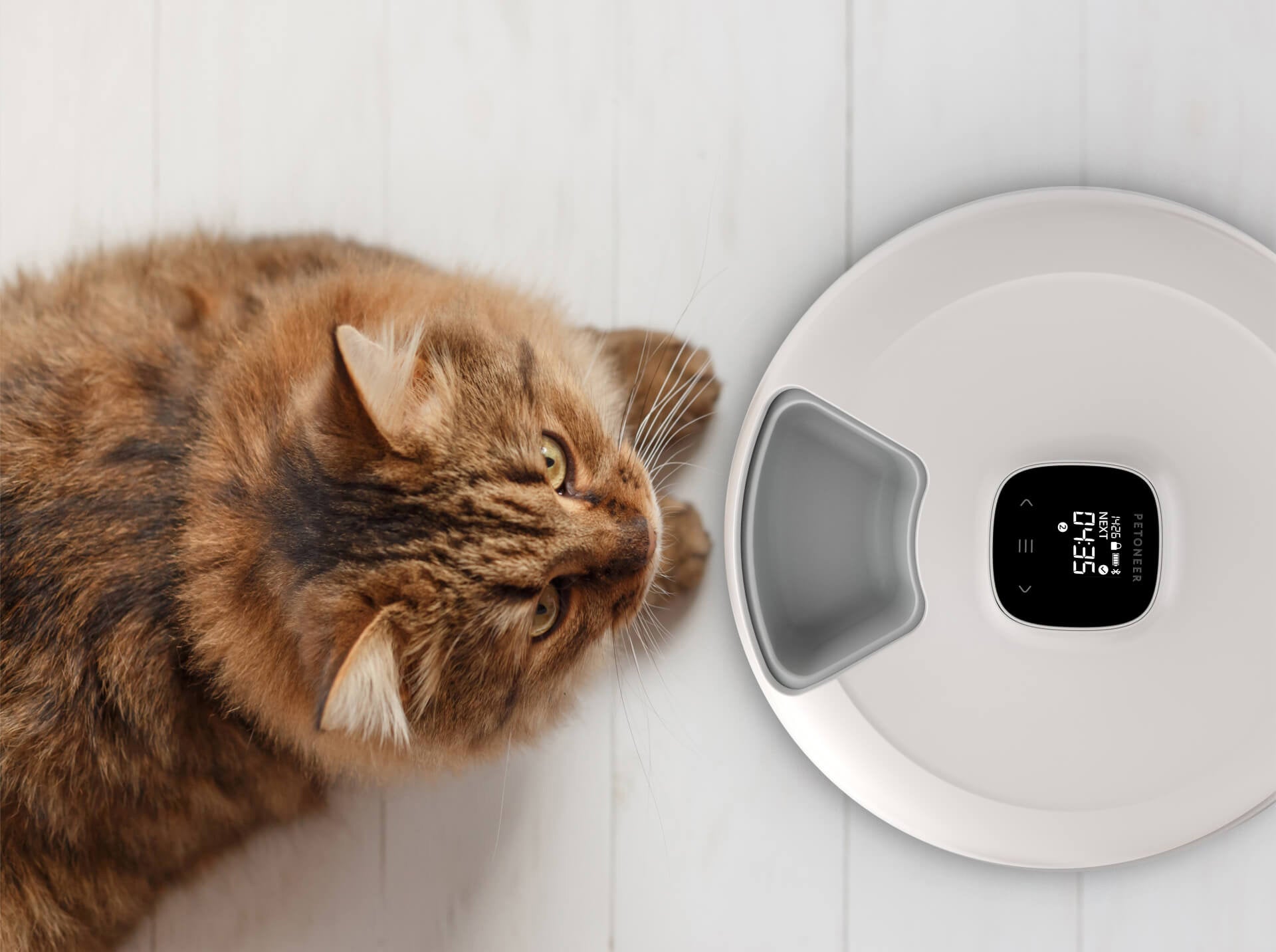 NutriSpin 6 Meal Pet Feeder