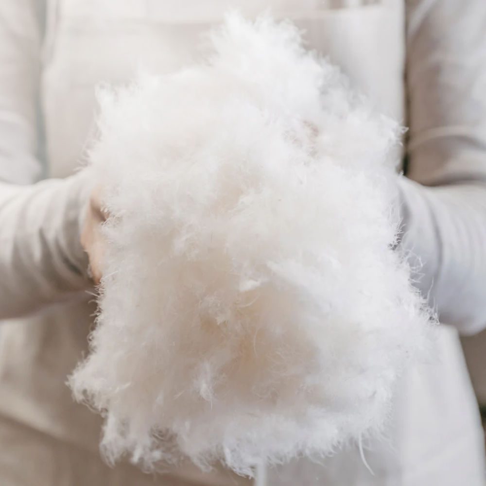 Piumino Andromeda medio