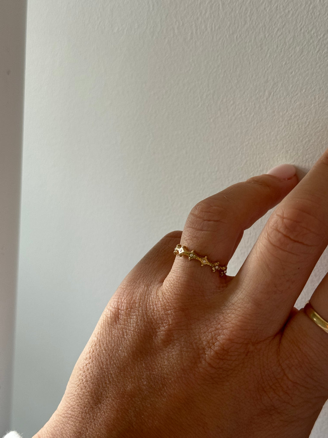 Fine rings