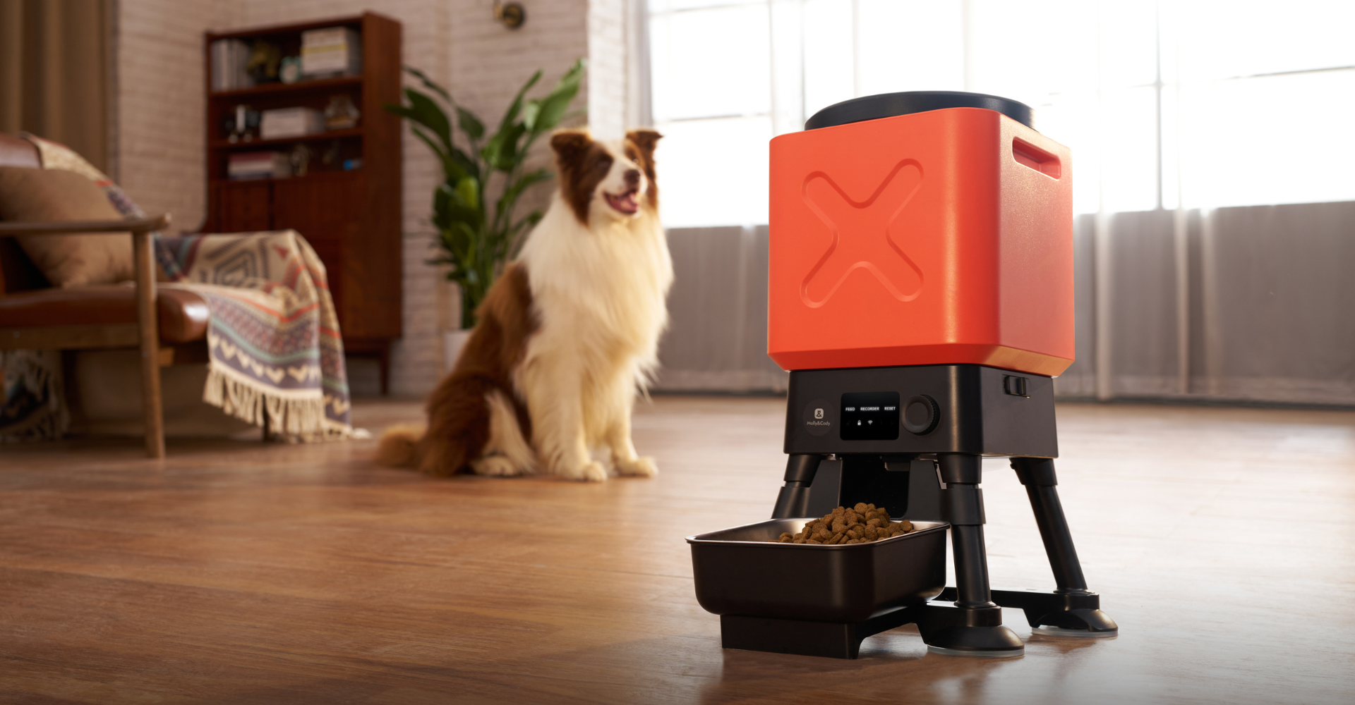 Smart Feeder Titan Wifi 14L