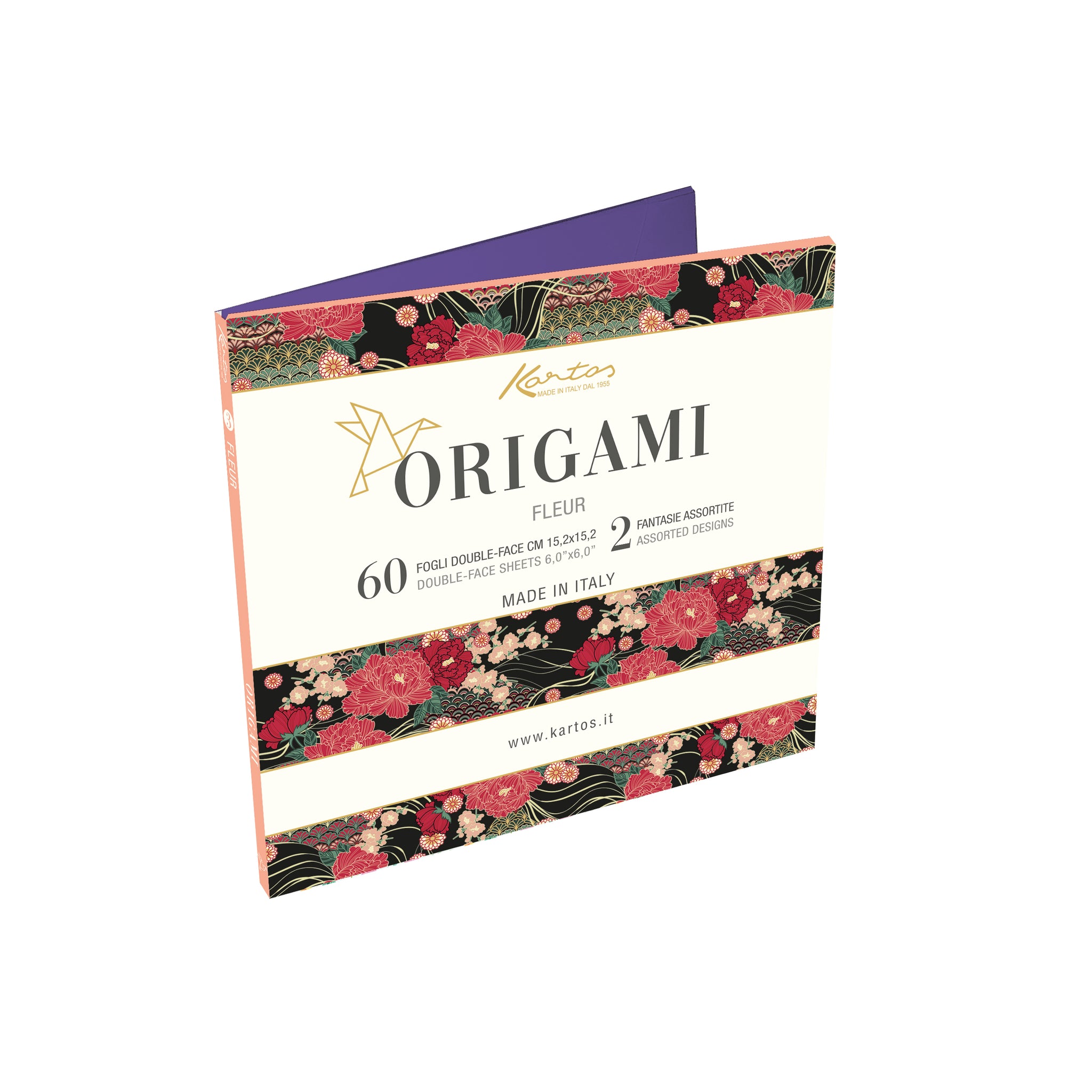 KIT 2 PORTFOLIO CON 60 FOGLI 2 SOGG. CAD. 15X15 PER ORIGAMI 3