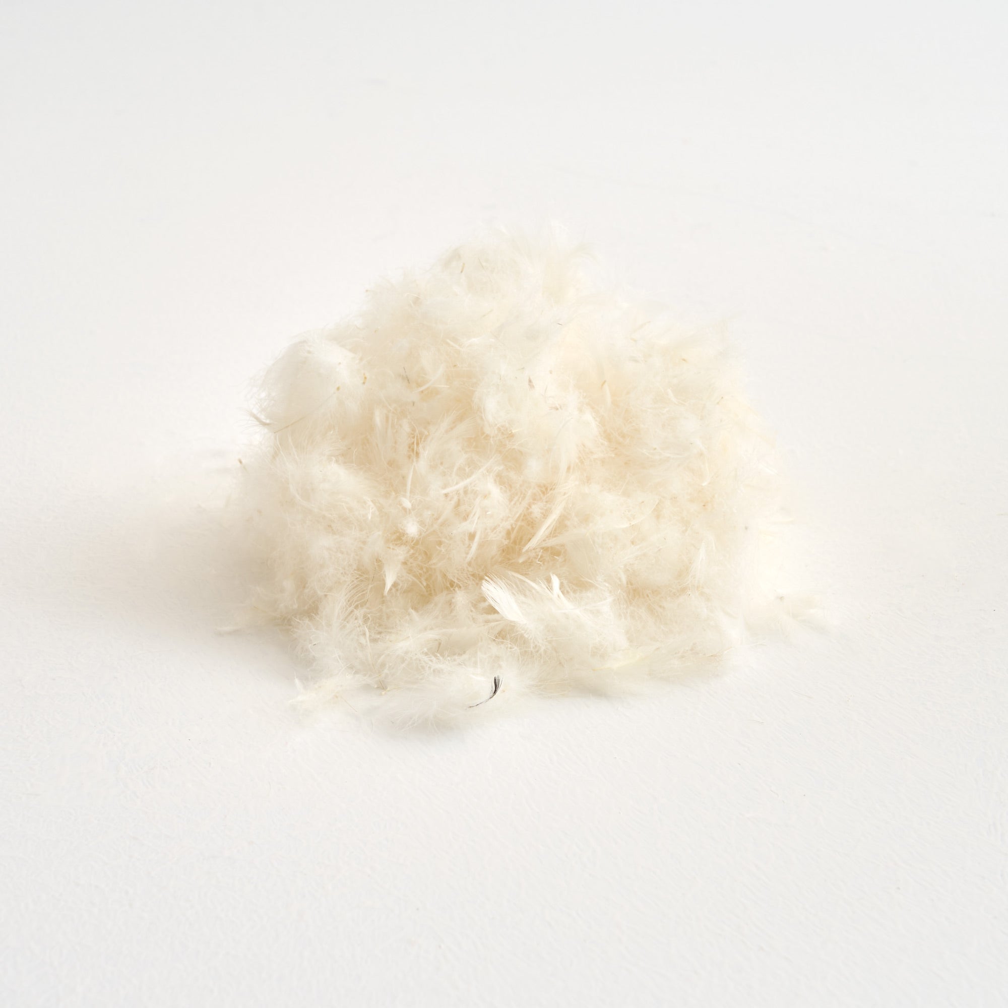 MEDIUM SUN Piumino 190 gr/mq