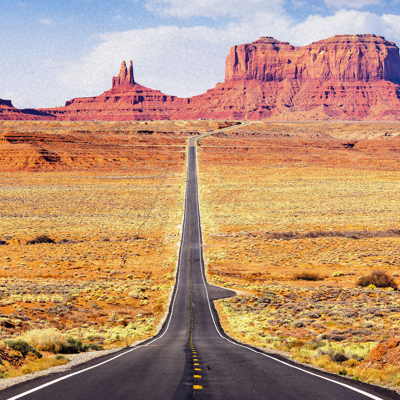 Monument Valley Road, Arizona, USA stampa canvas su tessuto ecopelle Made in Italy S - 1 pannello - 0,24 mq