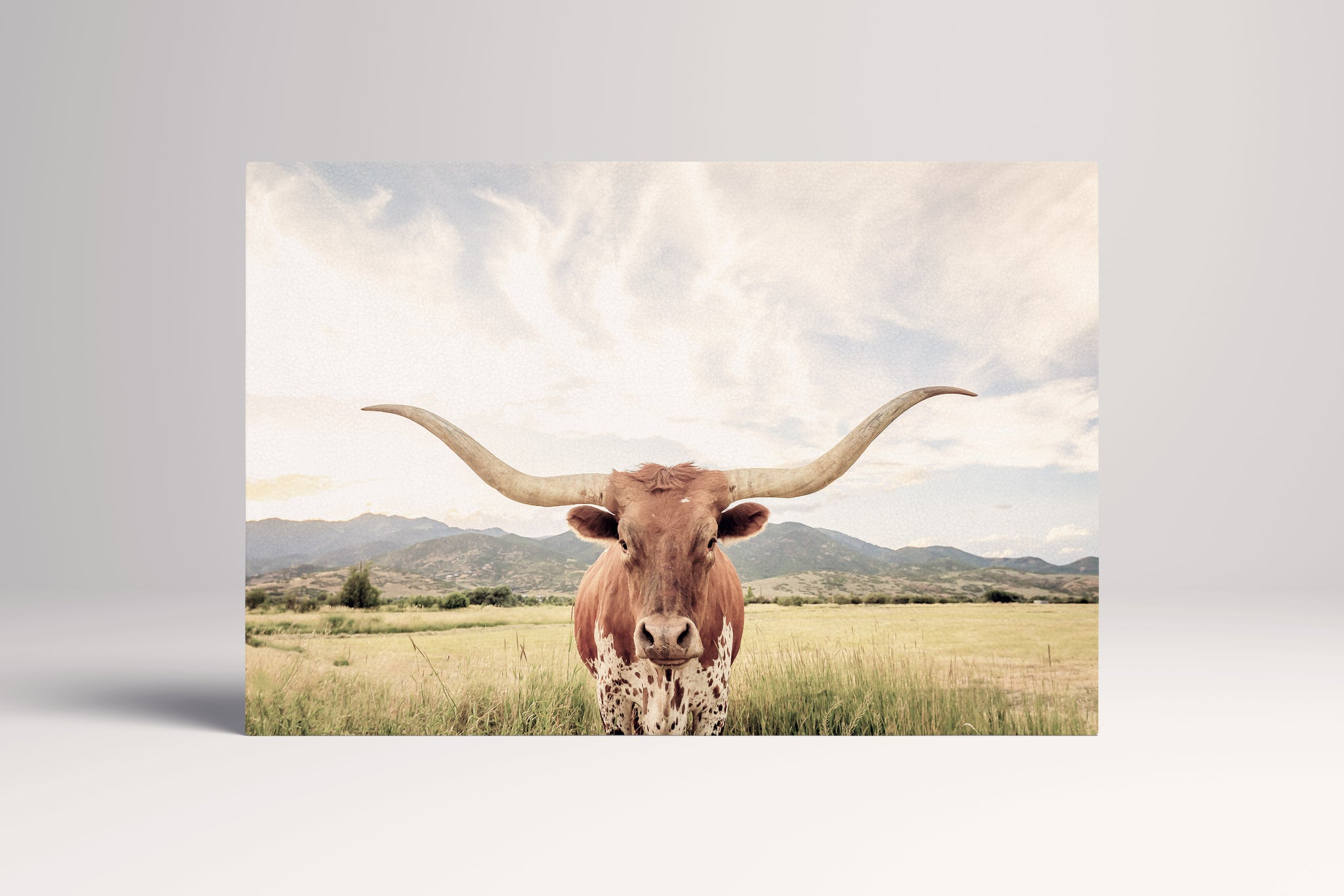 Longhorn texano stampa canvas su tessuto ecopelle Made in Italy S - 1 pannello - 0,24 mq