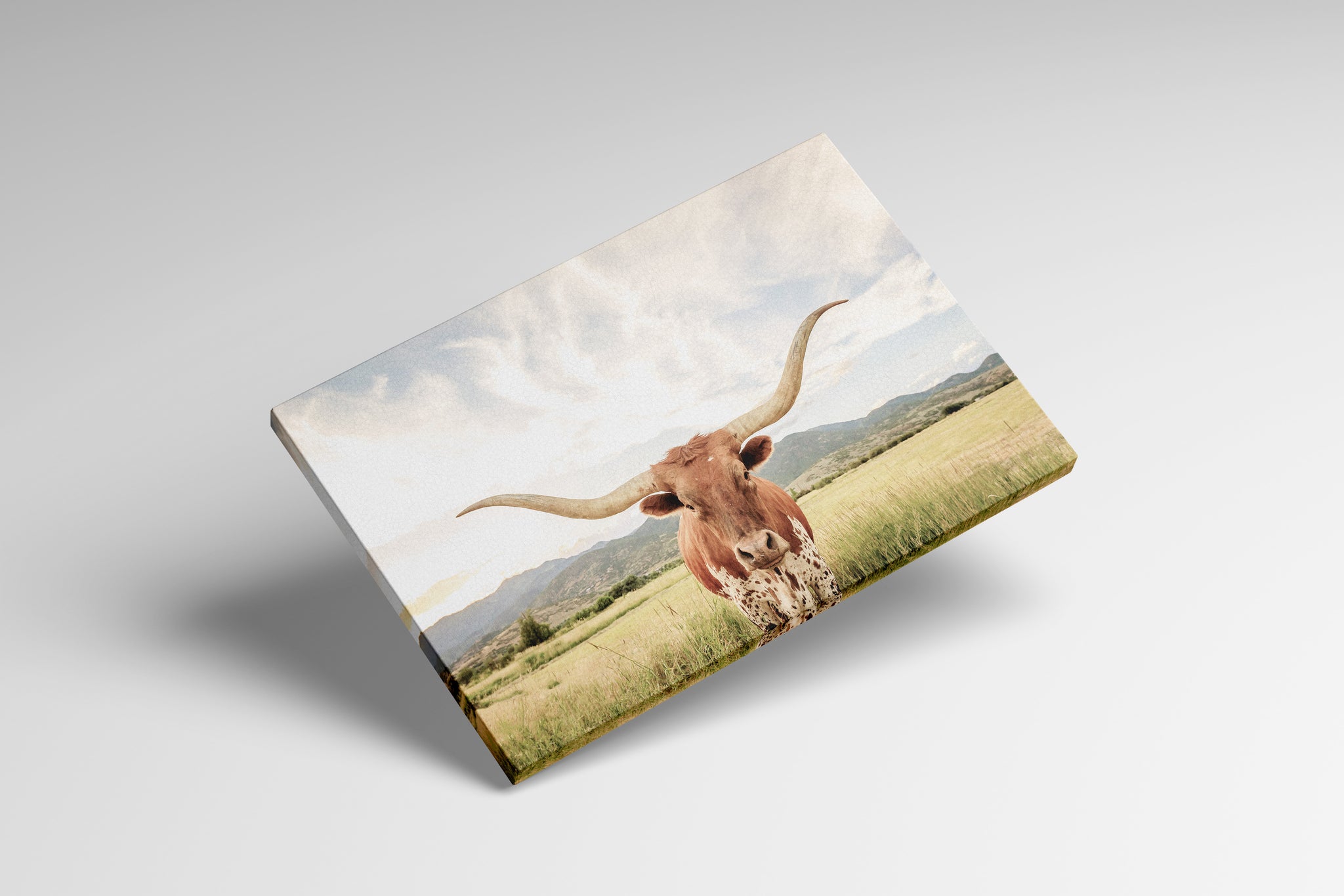 Longhorn texano stampa canvas su tessuto ecopelle Made in Italy S - 1 pannello - 0,24 mq
