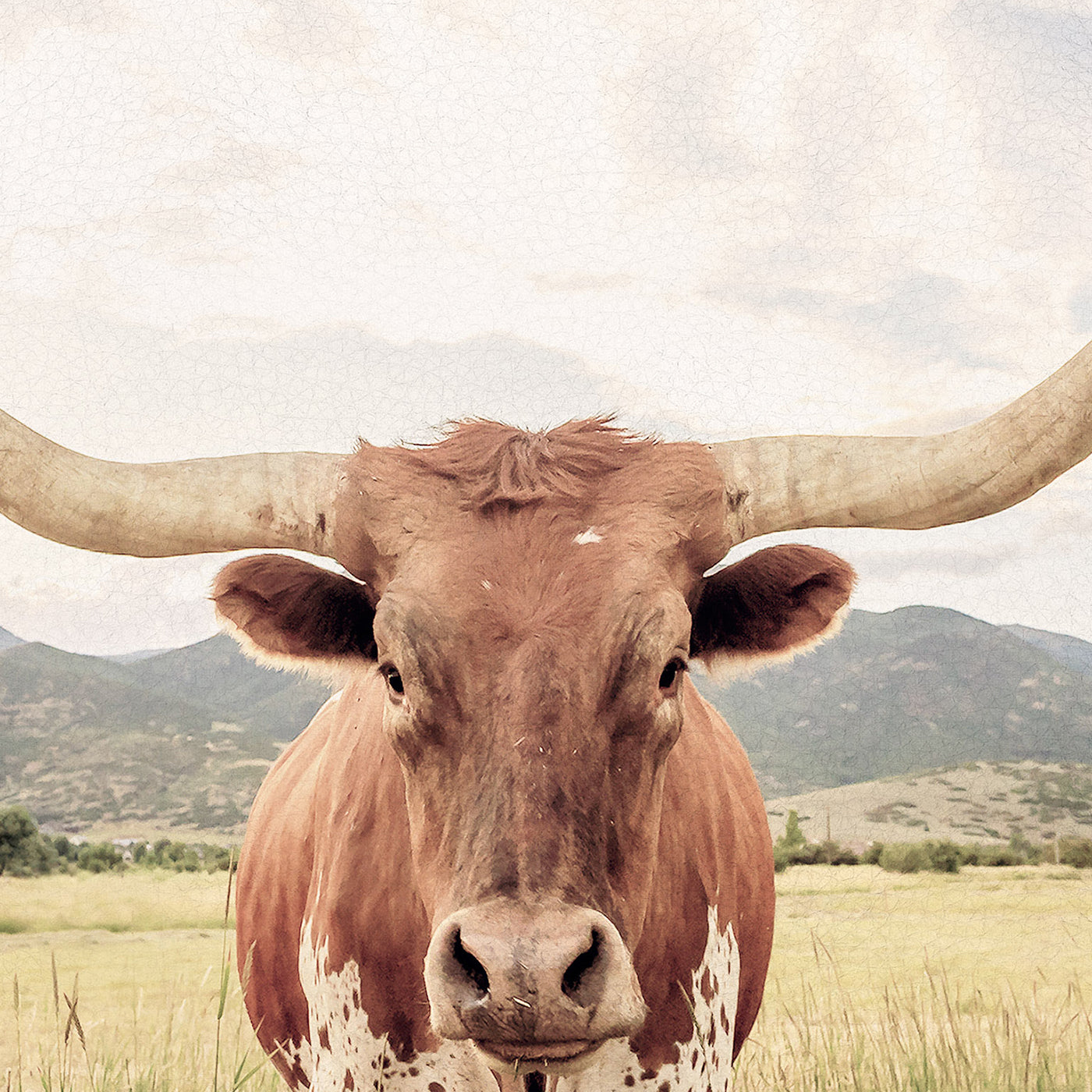 Longhorn texano stampa canvas su tessuto ecopelle Made in Italy S - 1 pannello - 0,24 mq