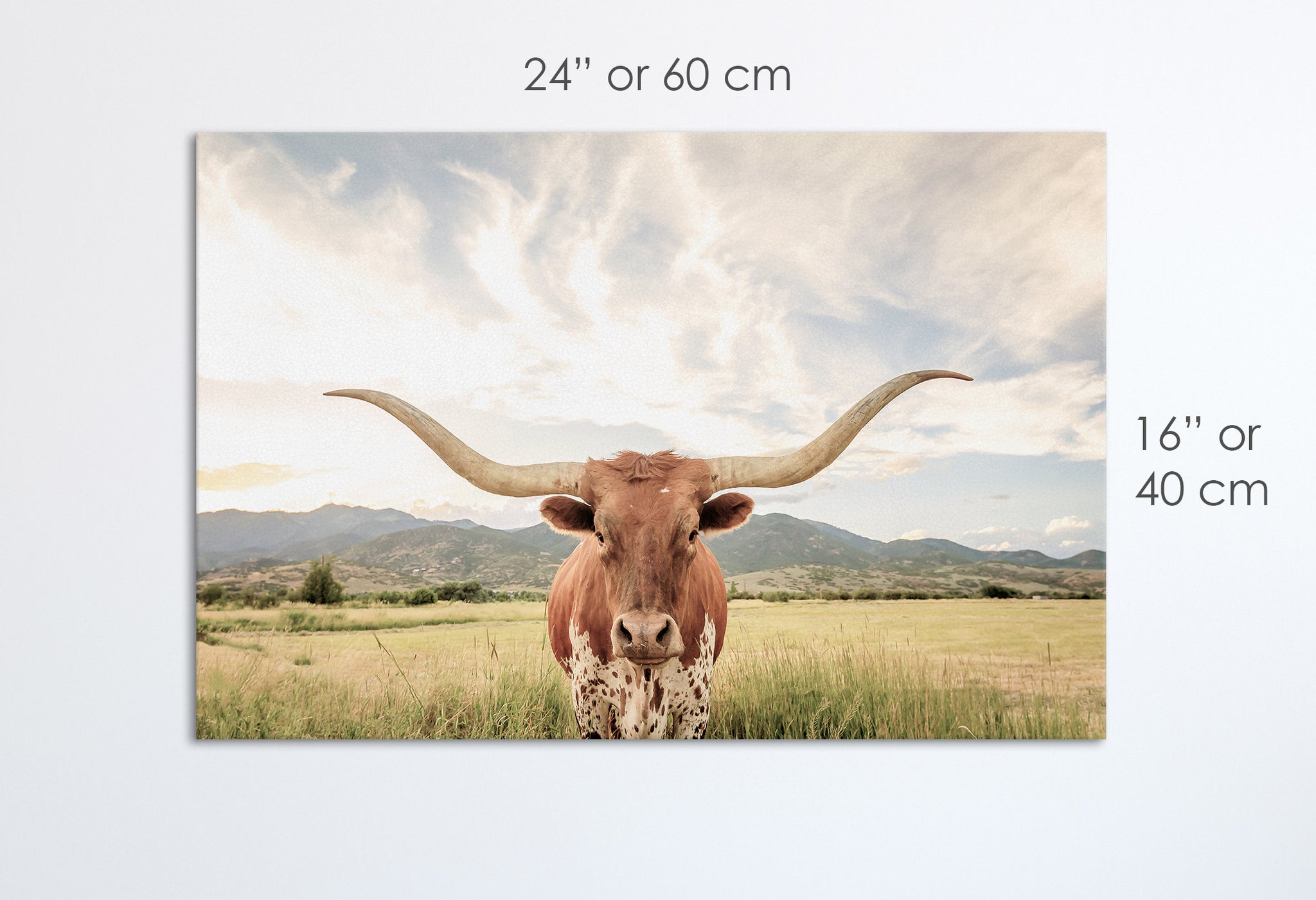 Longhorn texano stampa canvas su tessuto ecopelle Made in Italy S - 1 pannello - 0,24 mq