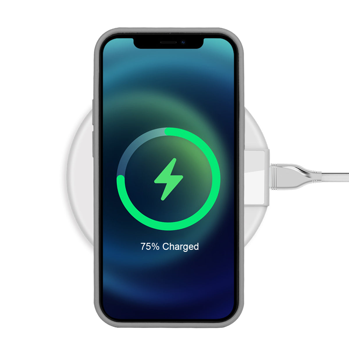 Custodia Rigida In Silicone Per Iphone 12 Pro - Grafite