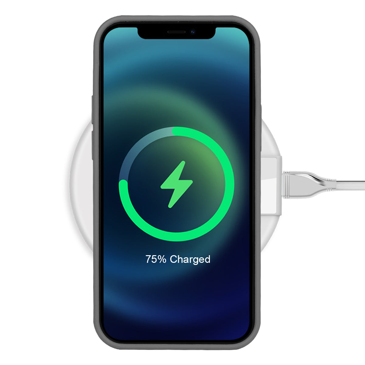 Custodia Rigida In Silicone Per Iphone 12 Pro Max - Grafite