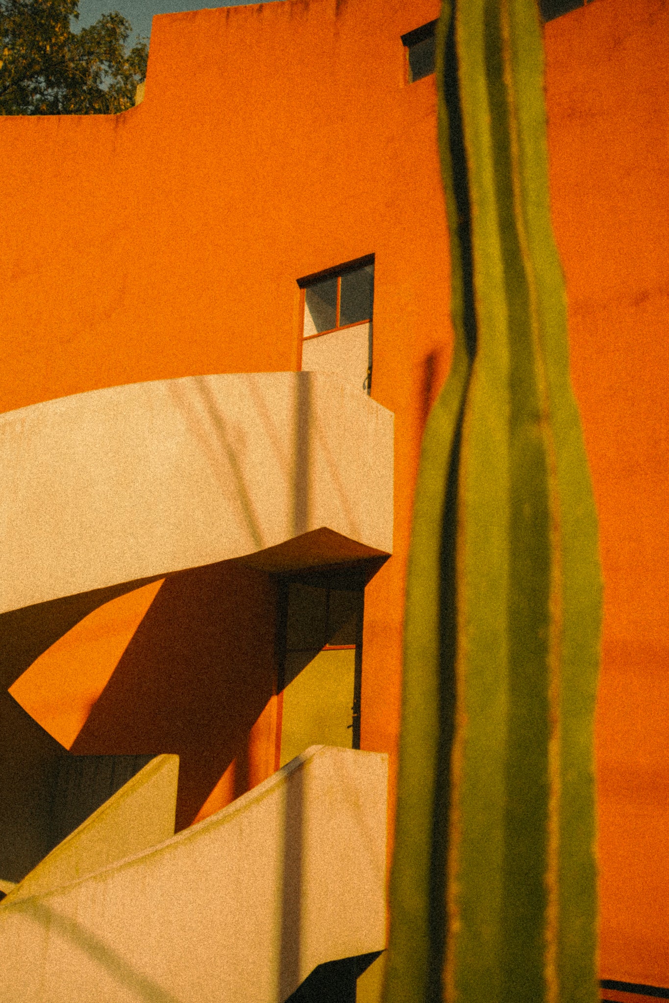 En El Sur - by Ximena Morfín