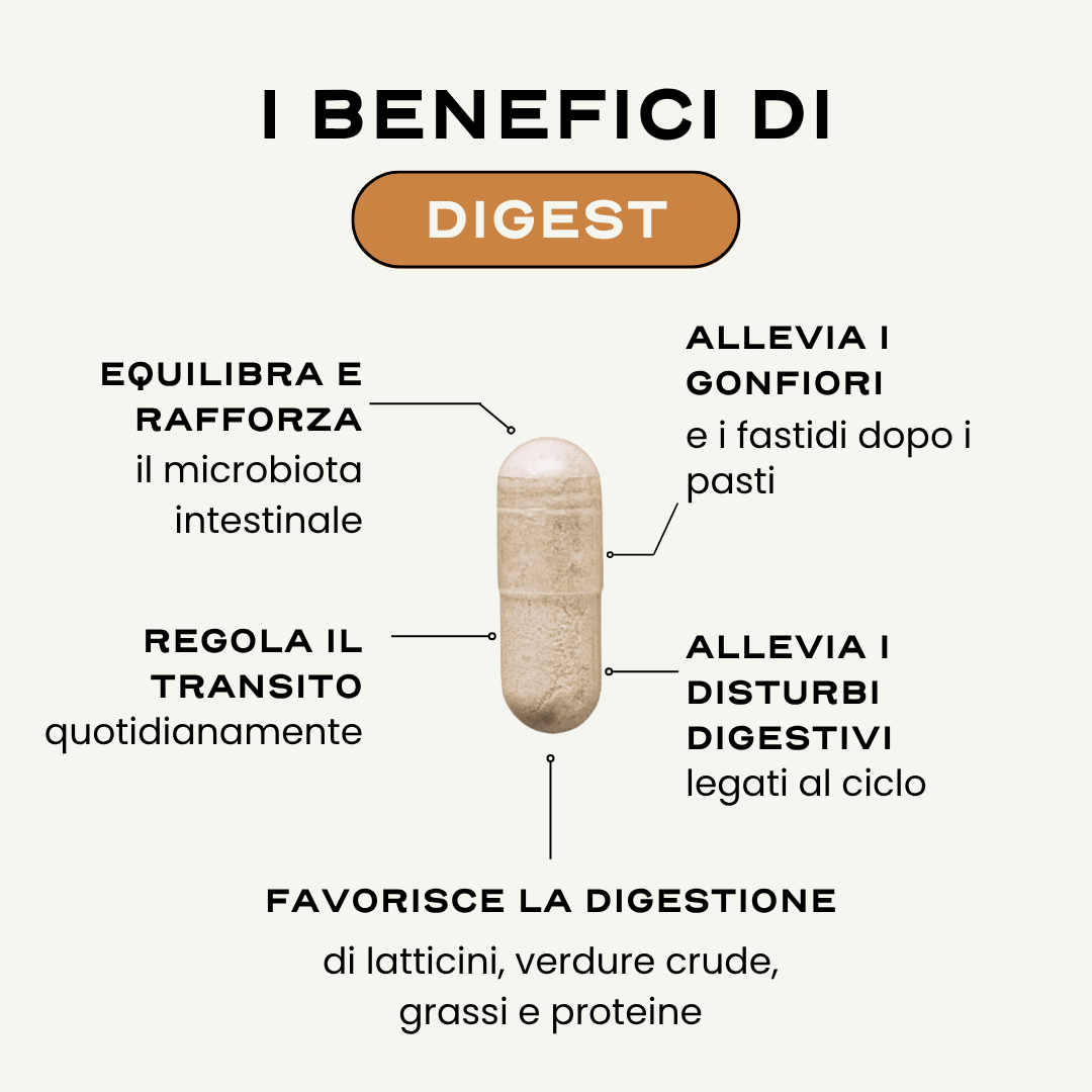 DIGEST