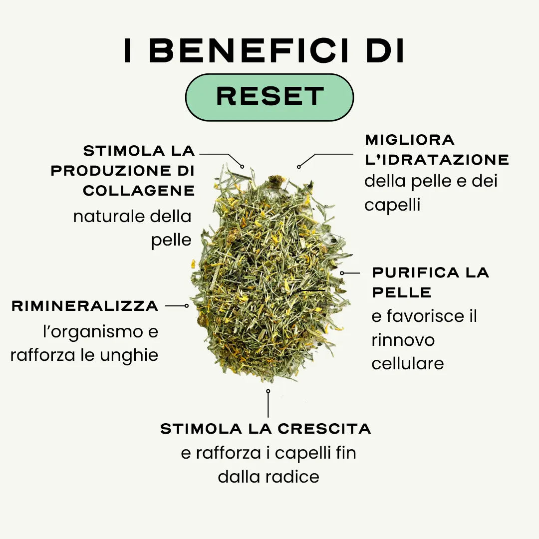 RESET