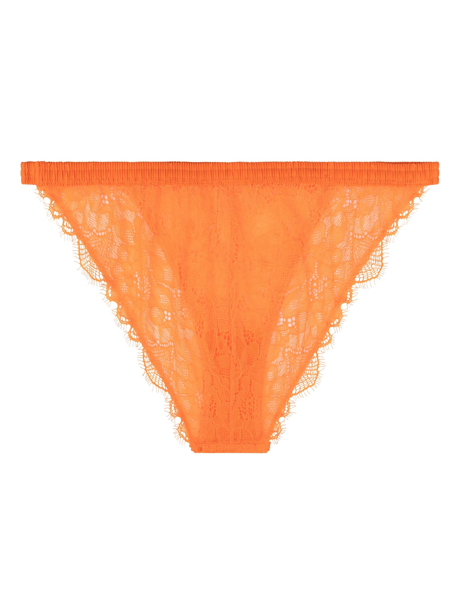 WILD  ROSE - ARANCIONE