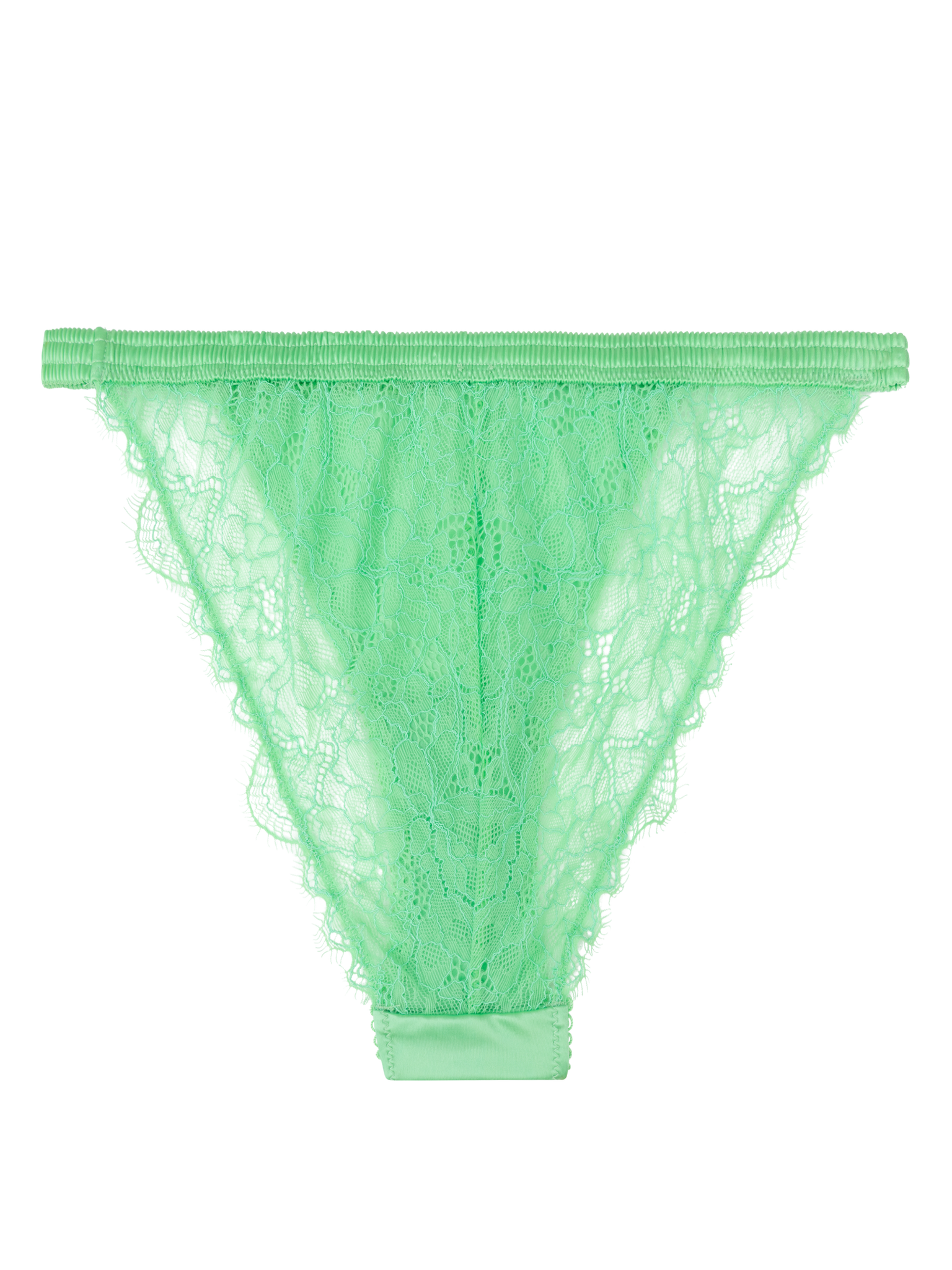 WILD ROSE - VERDE ACCESO