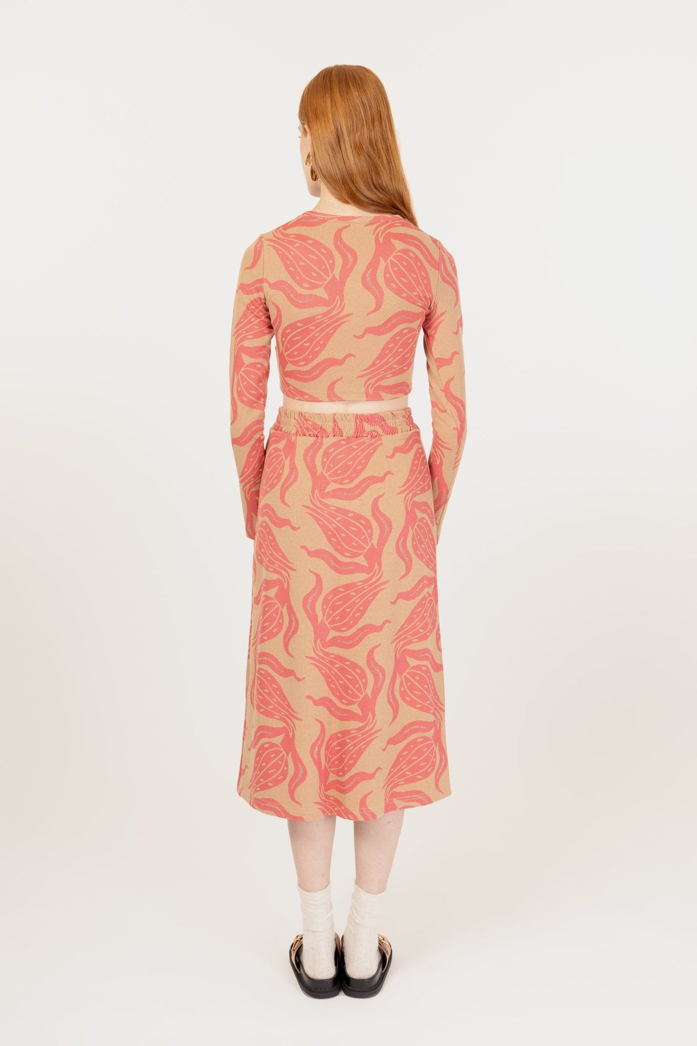 GUIA - AGAVE CORALLO