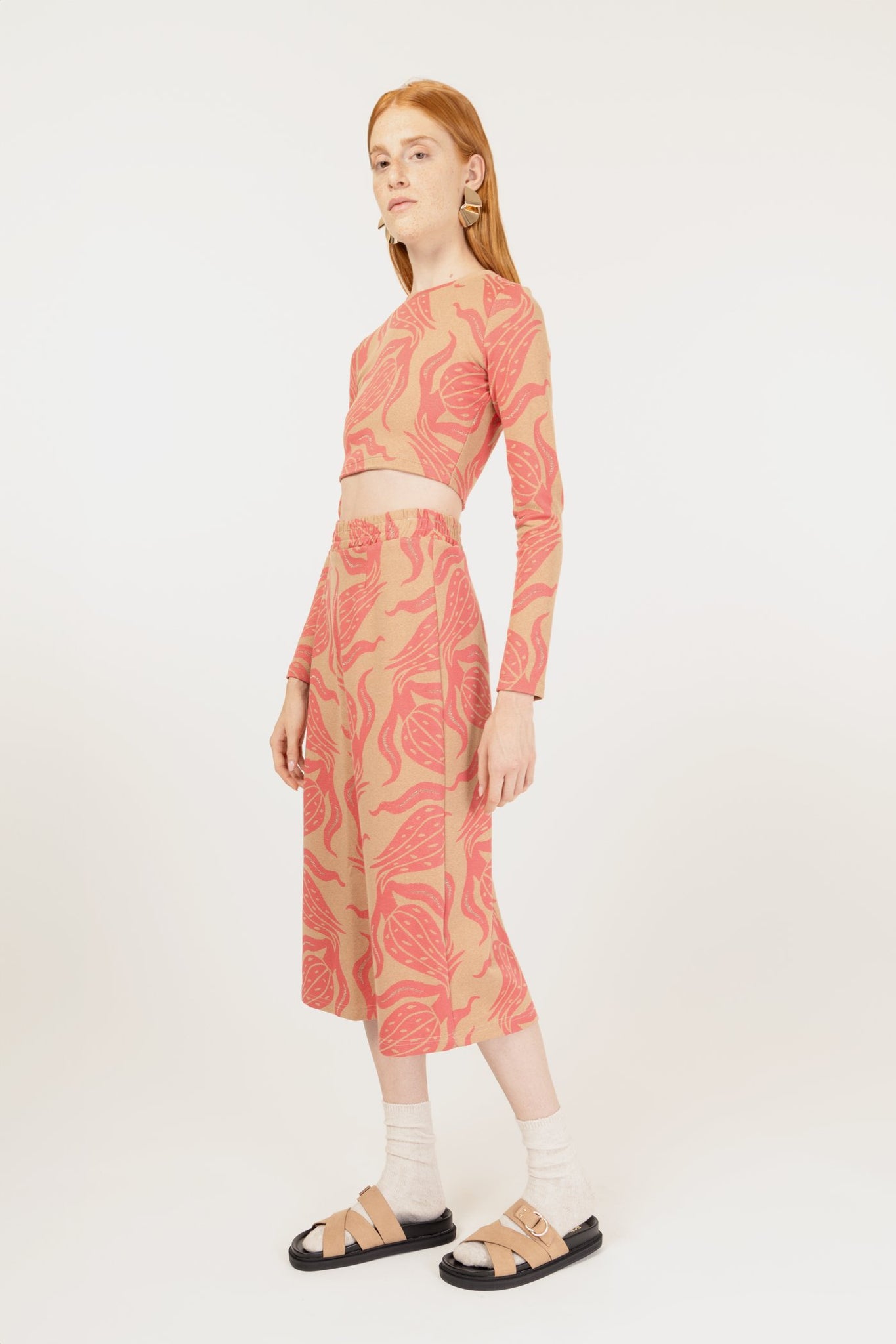 GUIA - AGAVE CORALLO