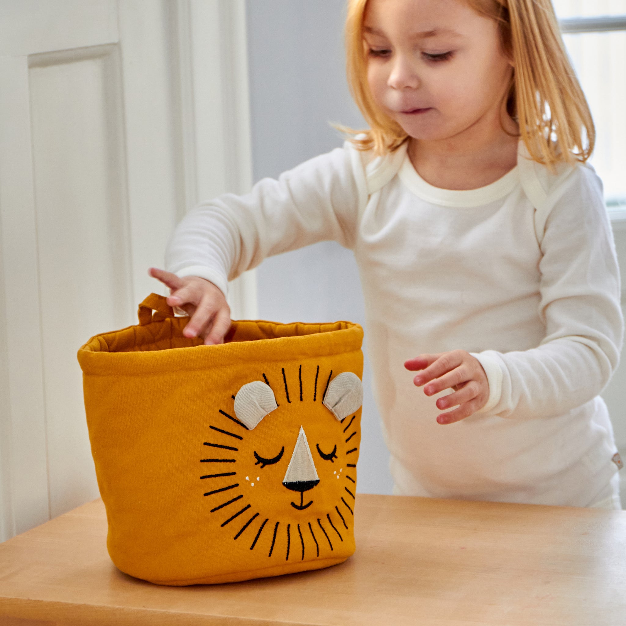 MINI BASKET LEONE