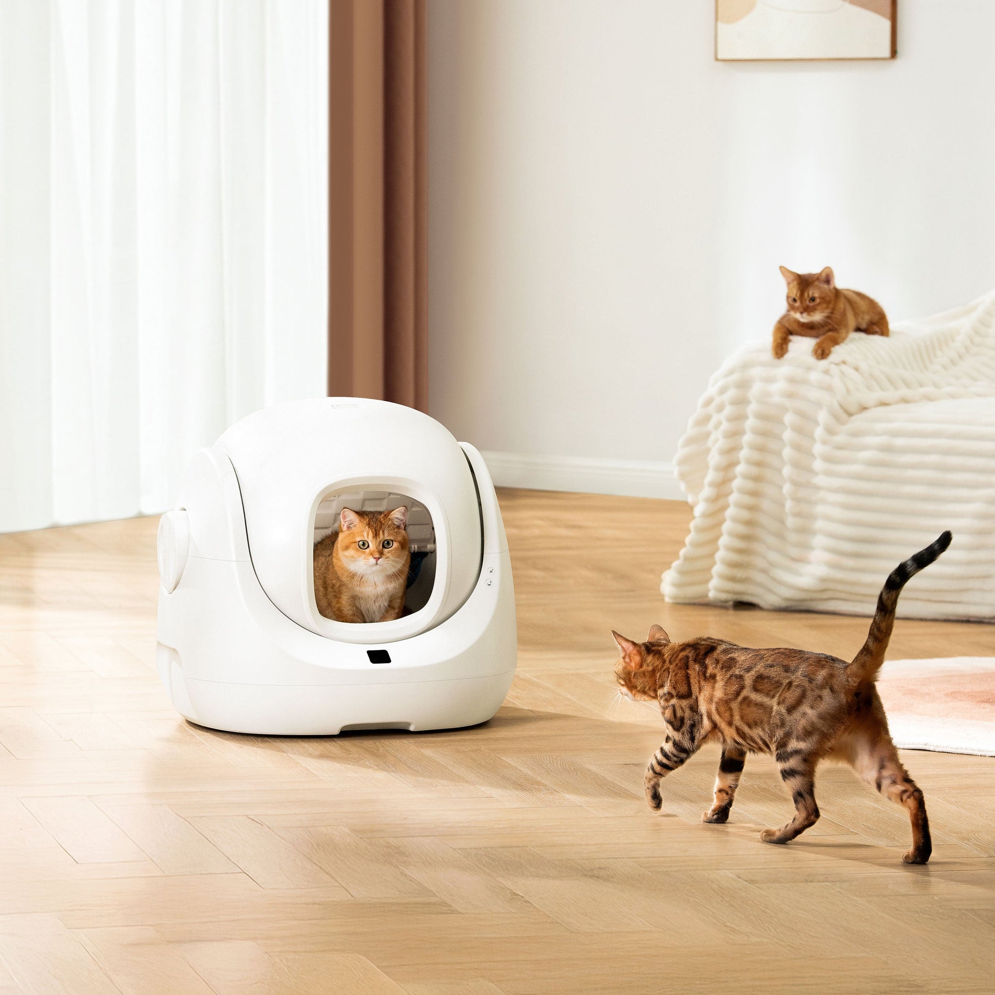 Automatic Cat Litter Box Scooper SE