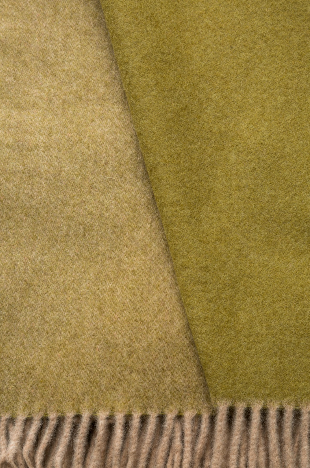 PLAID - Ulisse Verde Oliva