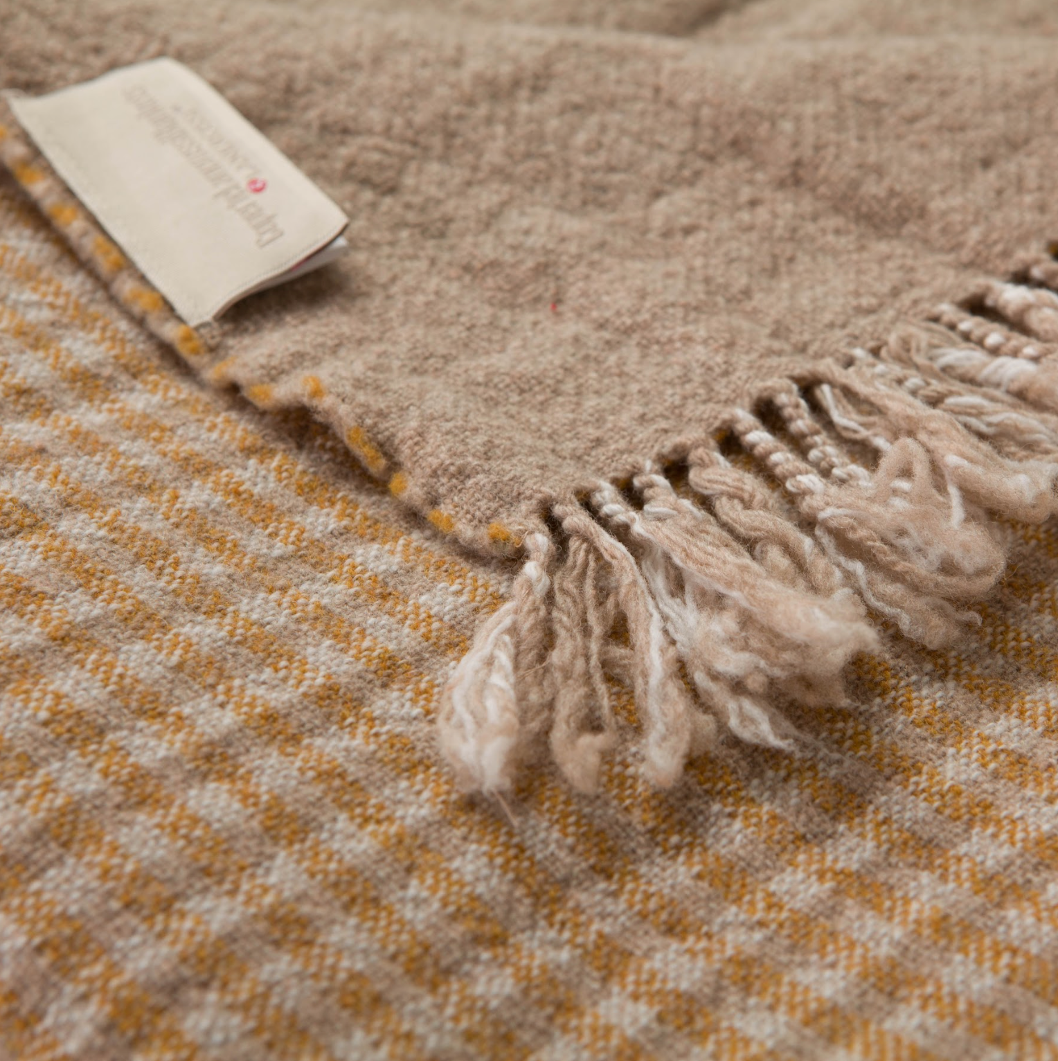 PLAID - Teseo Beige / Arancione
