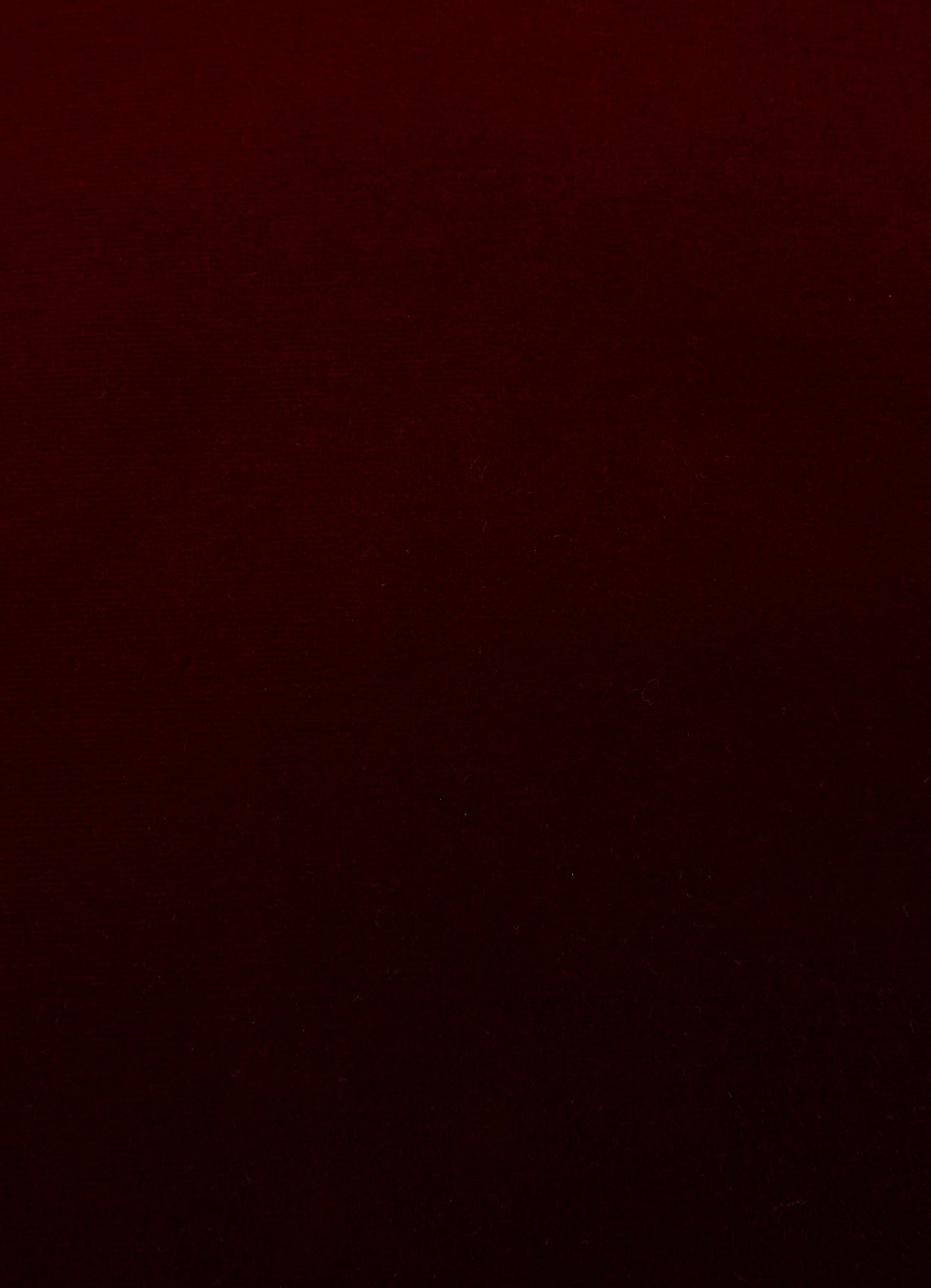 CUSCINO - Riva Bordeaux